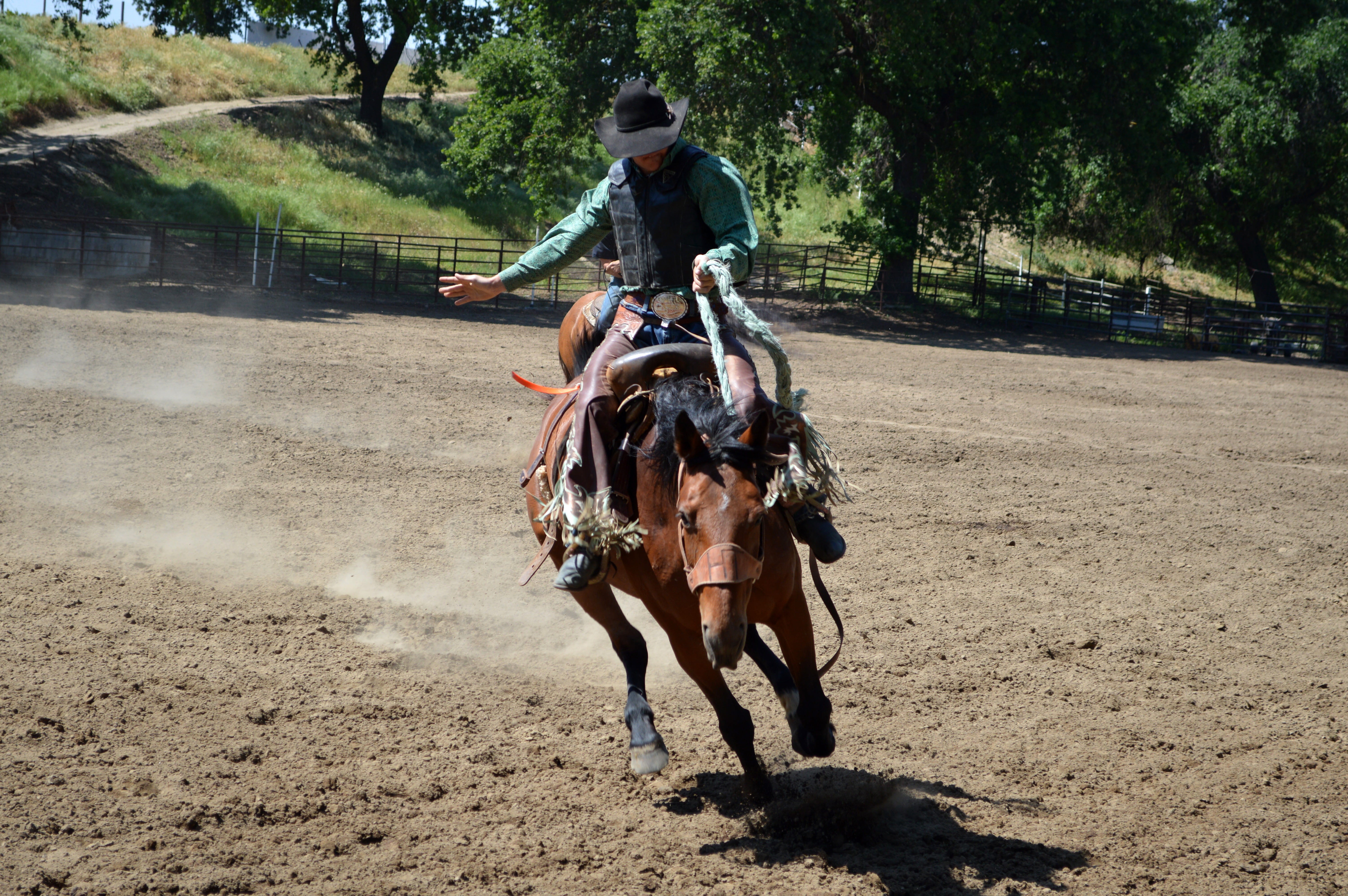 livestock, mammal, animal themes, people, only men, outdoors, domestic animals, full length, rider, vertebrate, Cowboy, photo, one man only, horseback Riding, HD Wallpaper