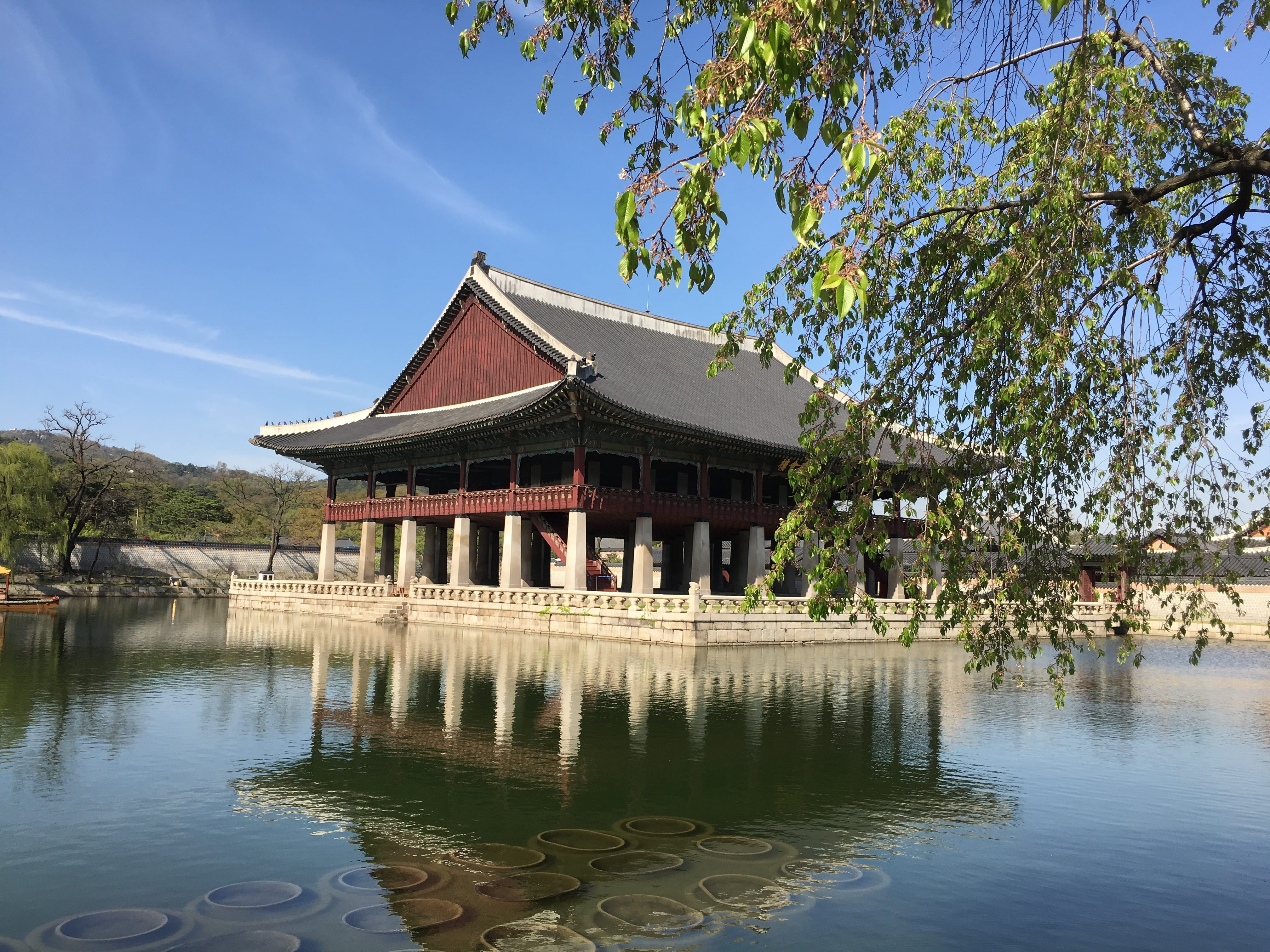 built structure, plant, nature, 4K, architecture, belief, lake, tree, traditional, reflection, korea culture, republic of korea, waterfront, day, building, HD Wallpaper