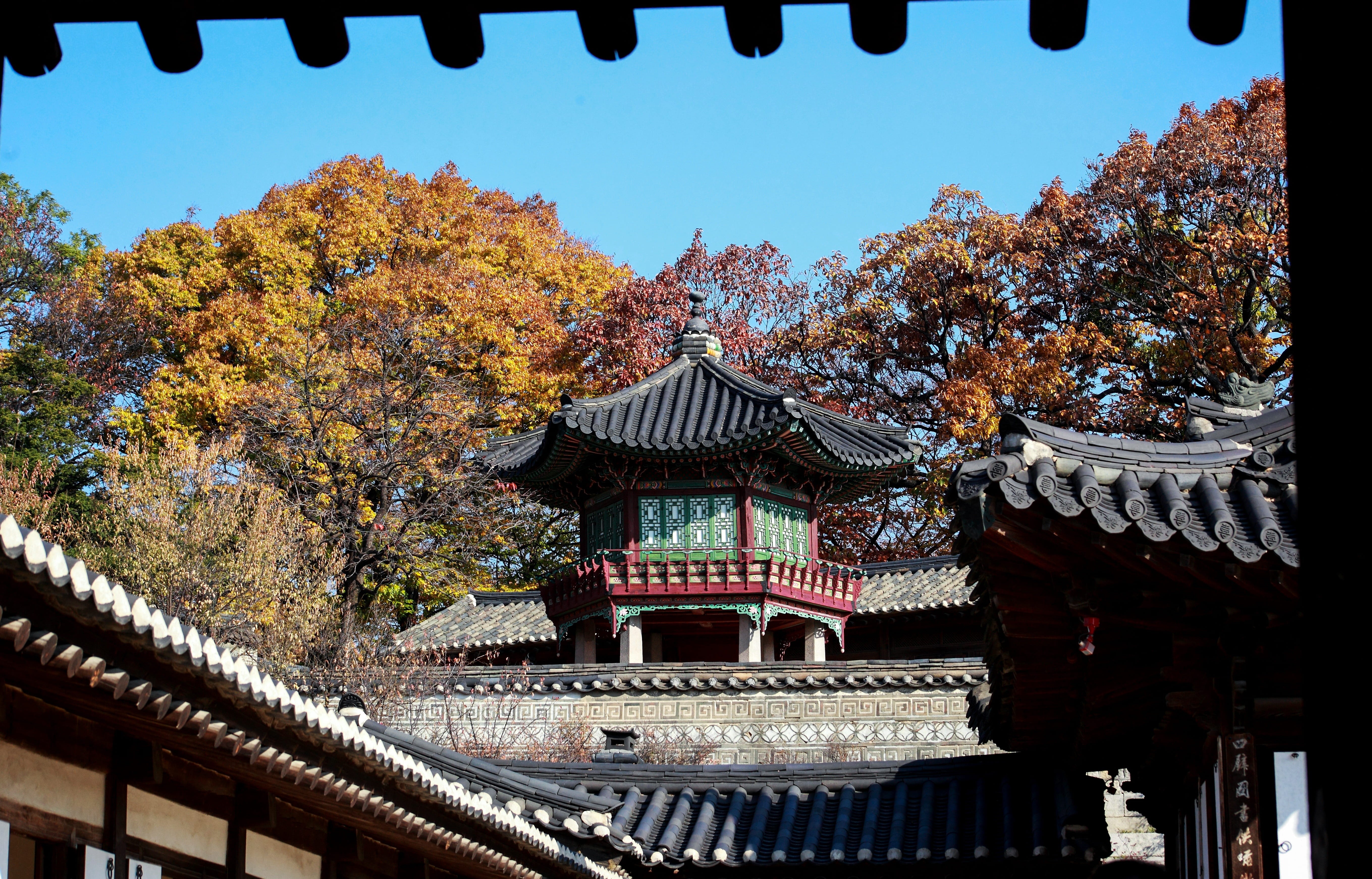 spirituality, built structure, religion, shrine, tree, outdoors, place of worship, building exterior, plant, day, mono, clear sky, for that, traditional, HD Wallpaper