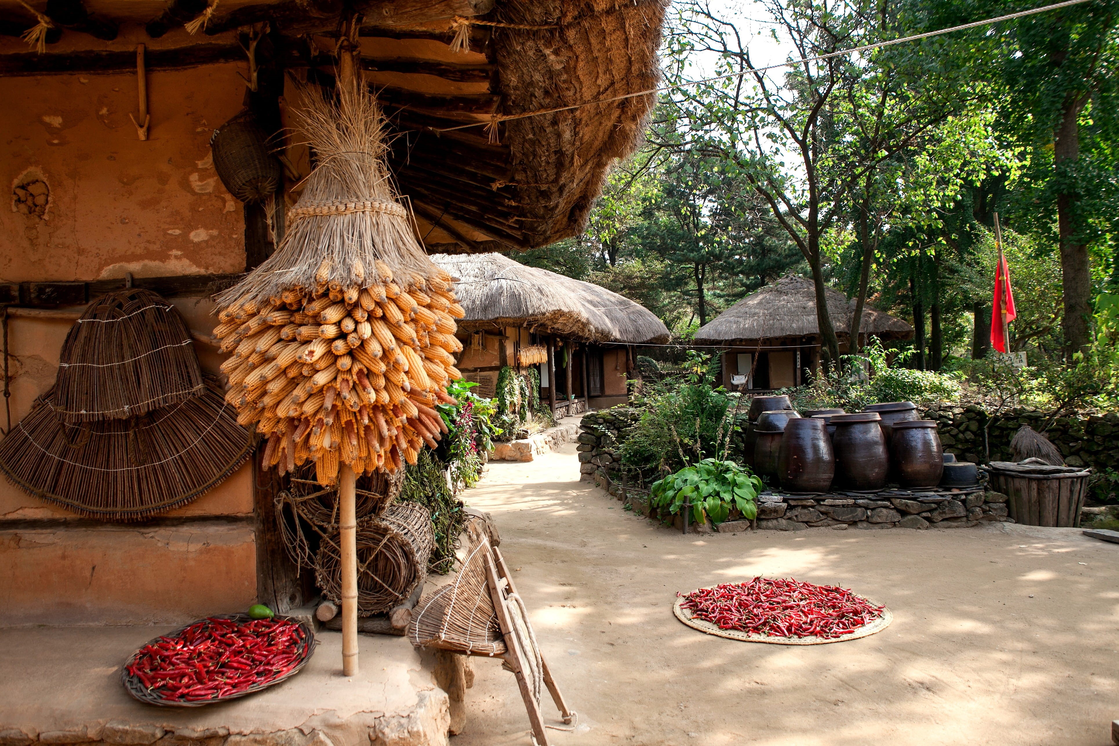 day, traditional, korean folk village, 4K, freshness, basket, table, building, outdoors, korean traditional, tree, potted plant, creativity, thatch roofed hose, HD Wallpaper