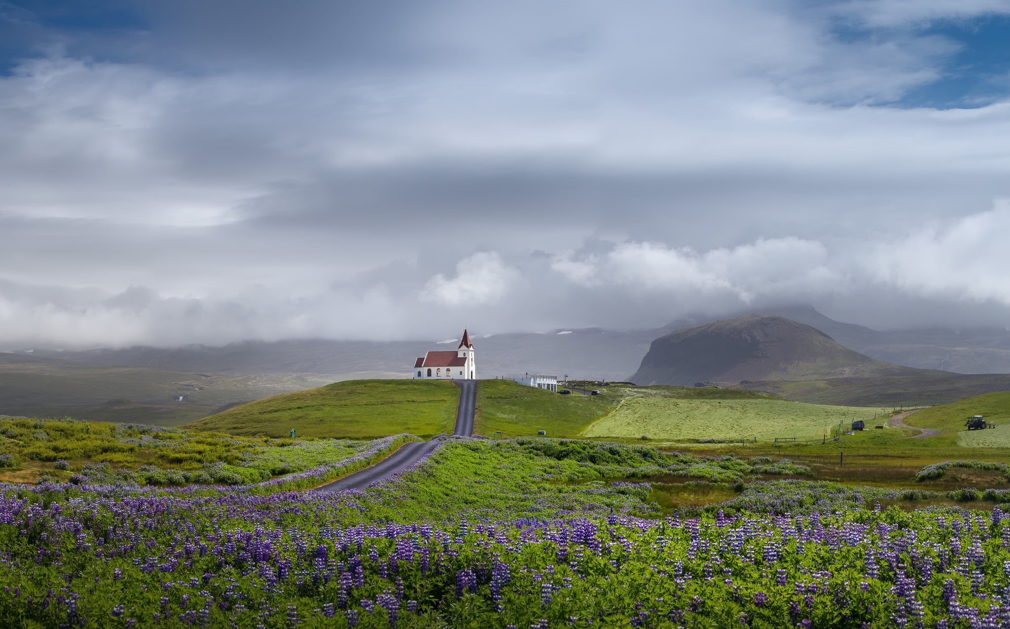 Iceland, no people, land, purple, lavender, landscape, mountain, idyllic, tranquility, plant, environment, flower, non-urban scene, growth, beauty in nature, HD Wallpaper