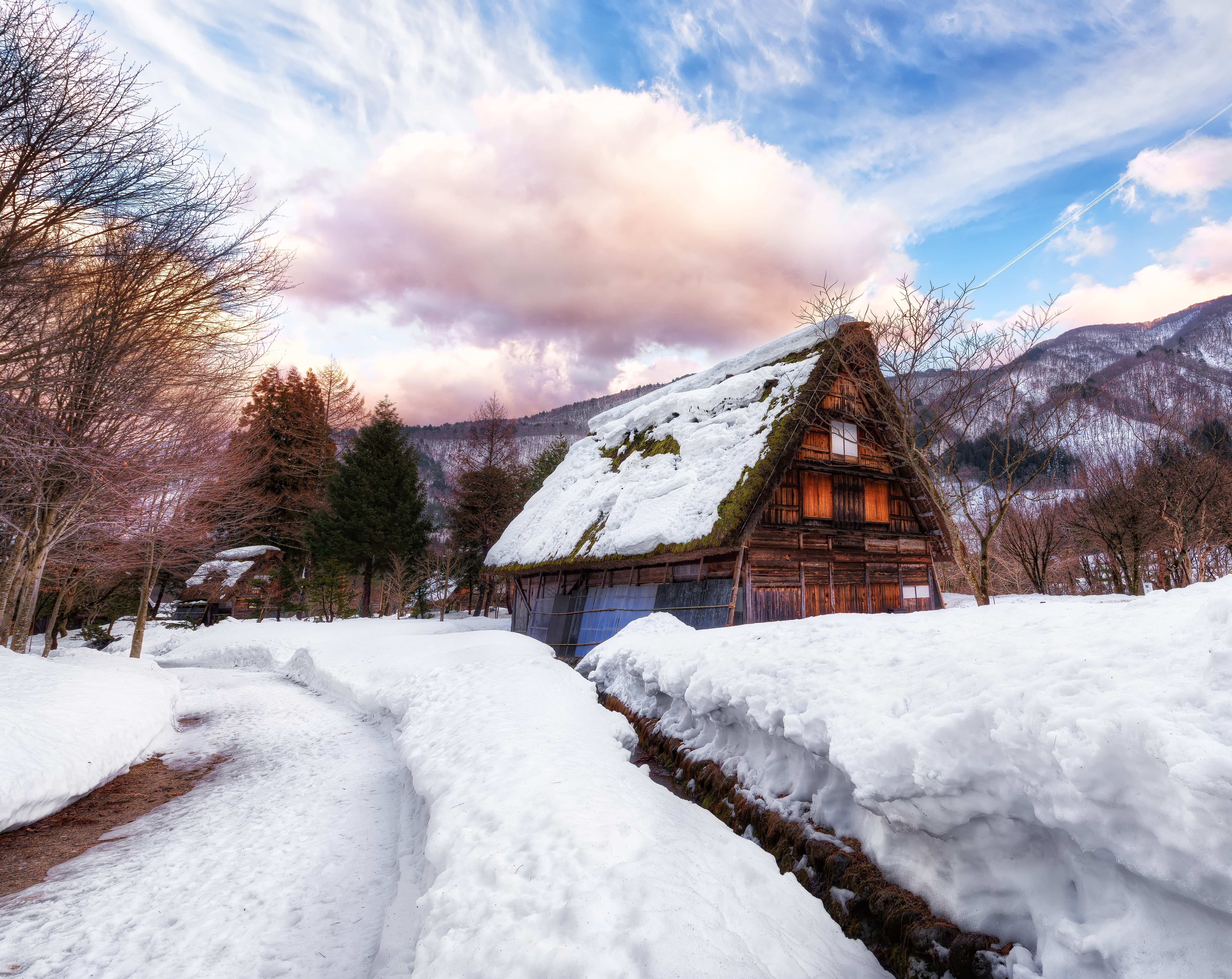 Winter, built structure, brown, Mushroom, tree, building, gifu, sky, Asia, Mountains, cloud - sky, architecture, scenics - nature, village, toyama, Shirakawago, HD Wallpaper