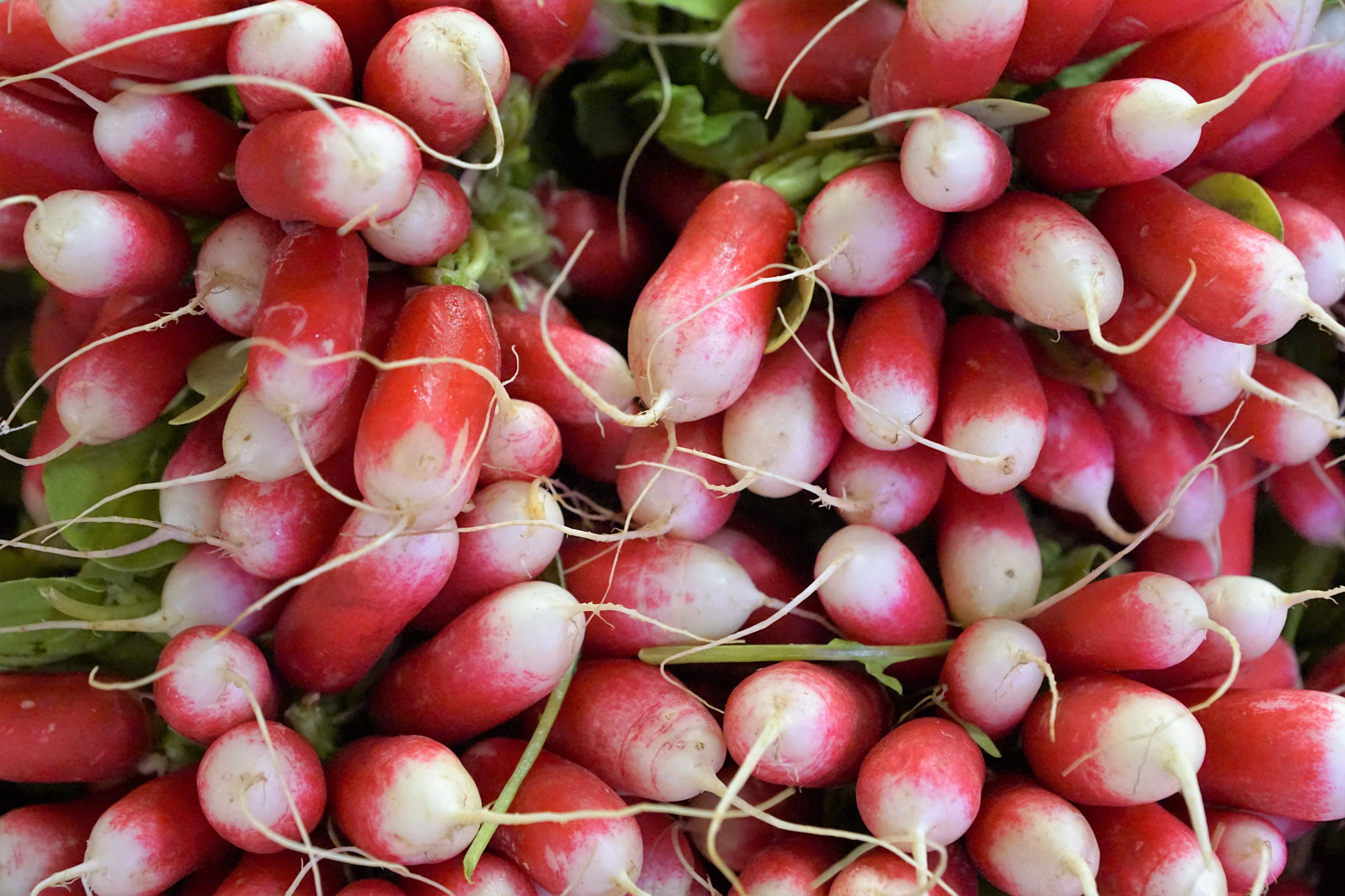 for sale, farmers local market, delicious, food and drink, salad, vegetables, healthy, white, red, vegetable, healthy attitude, gardening, sour, way of life, HD Wallpaper