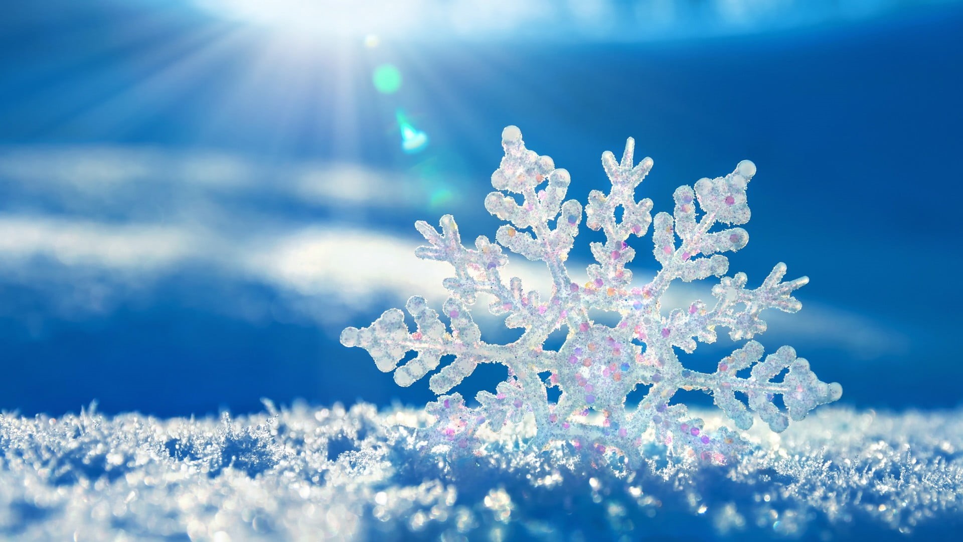no people, brightly lit, bright, christmas, plant, blue, snow, winter, lens flare, sunbeam, close-up, snowflake, ice, 1080P, nature, holiday, sun, day, HD Wallpaper
