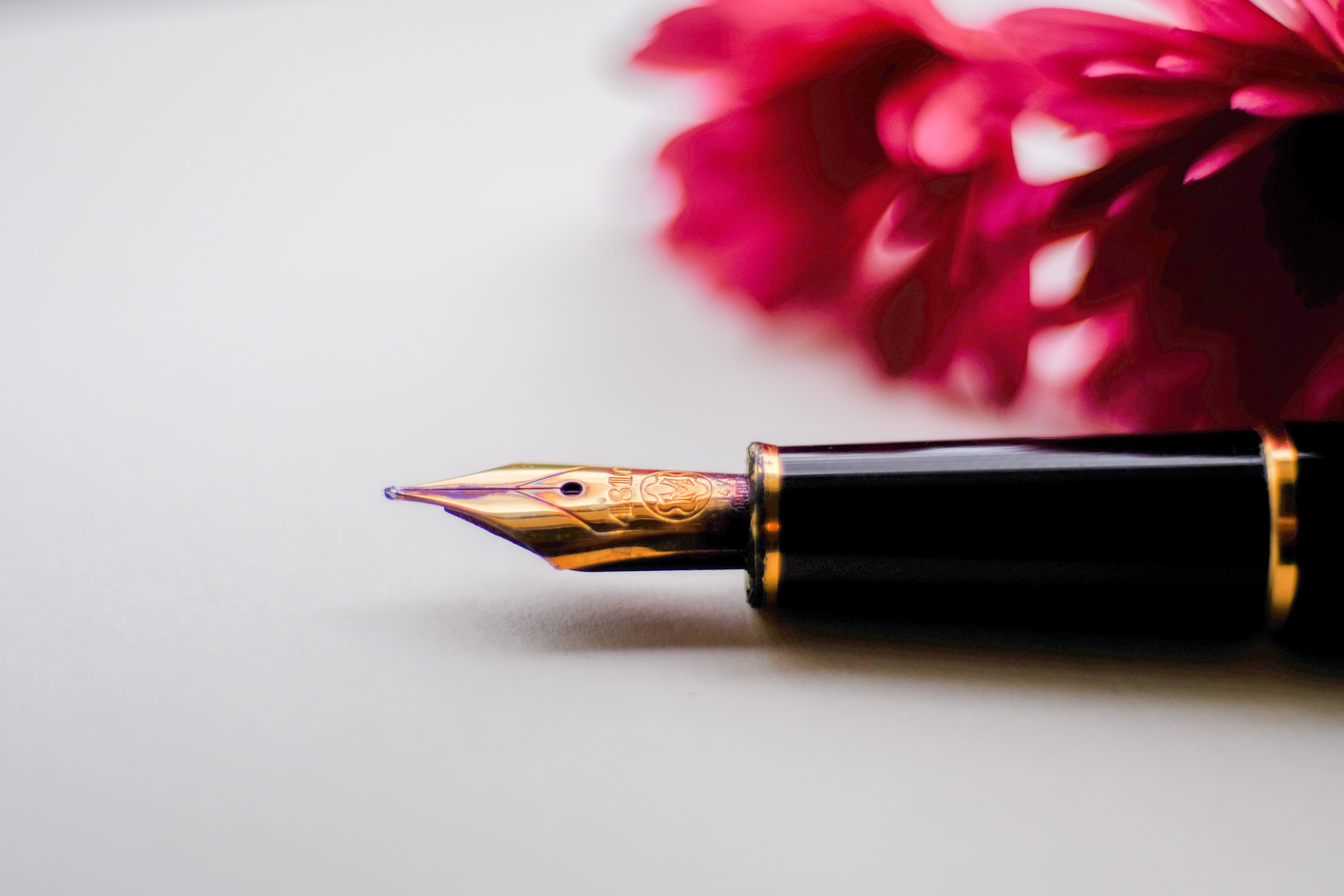 no people, plant, shallow, studio shot, flower, paper, writing, ink pen, 5K, writing instrument, gold, ink, correspondence, flowering plant, fountain, HD Wallpaper