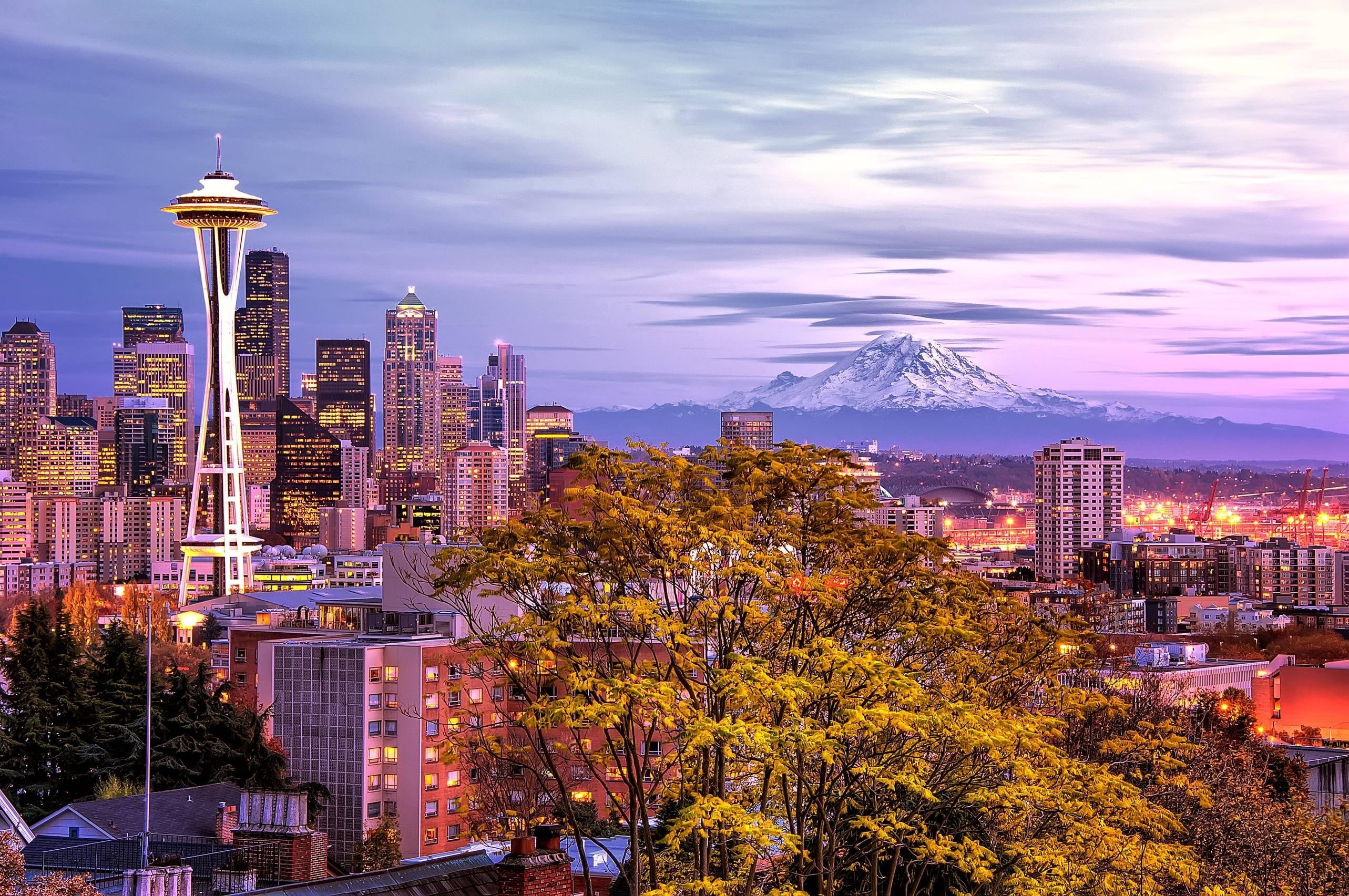 city, 2K, cloud - sky, urban skyline, Seattle, tree, tall - high, landscape, building exterior, plant, needle, no people, sky, building, illuminated, space, HD Wallpaper