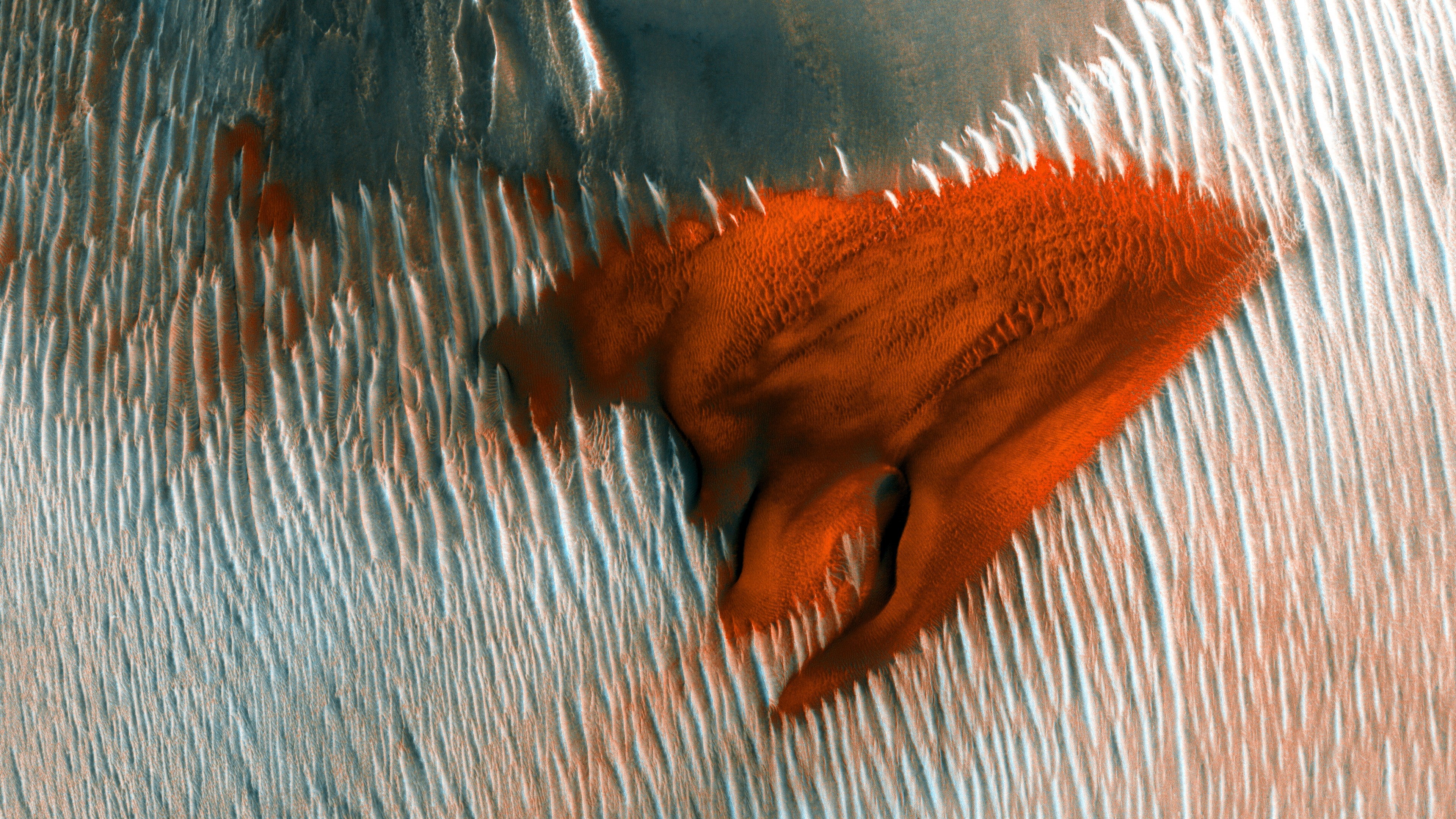 Mars, high angle view, sea, animal themes, animal, one animal, marine, mammal, dune, landscape, indoors, orange color, nature, 4K, animals in captivity, HD Wallpaper