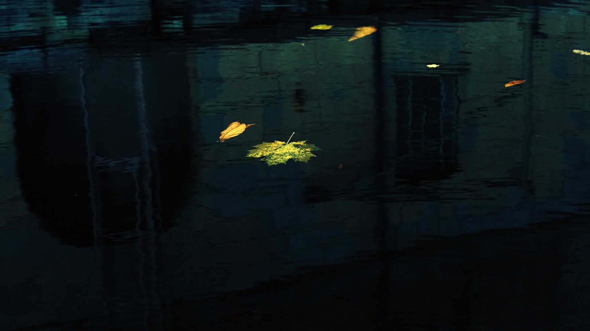 yellow, nature, water, floating, built structure, architecture, backgrounds, building exterior, leaves, night, lake, leaf, waterfront, reflection, outdoors, HD Wallpaper