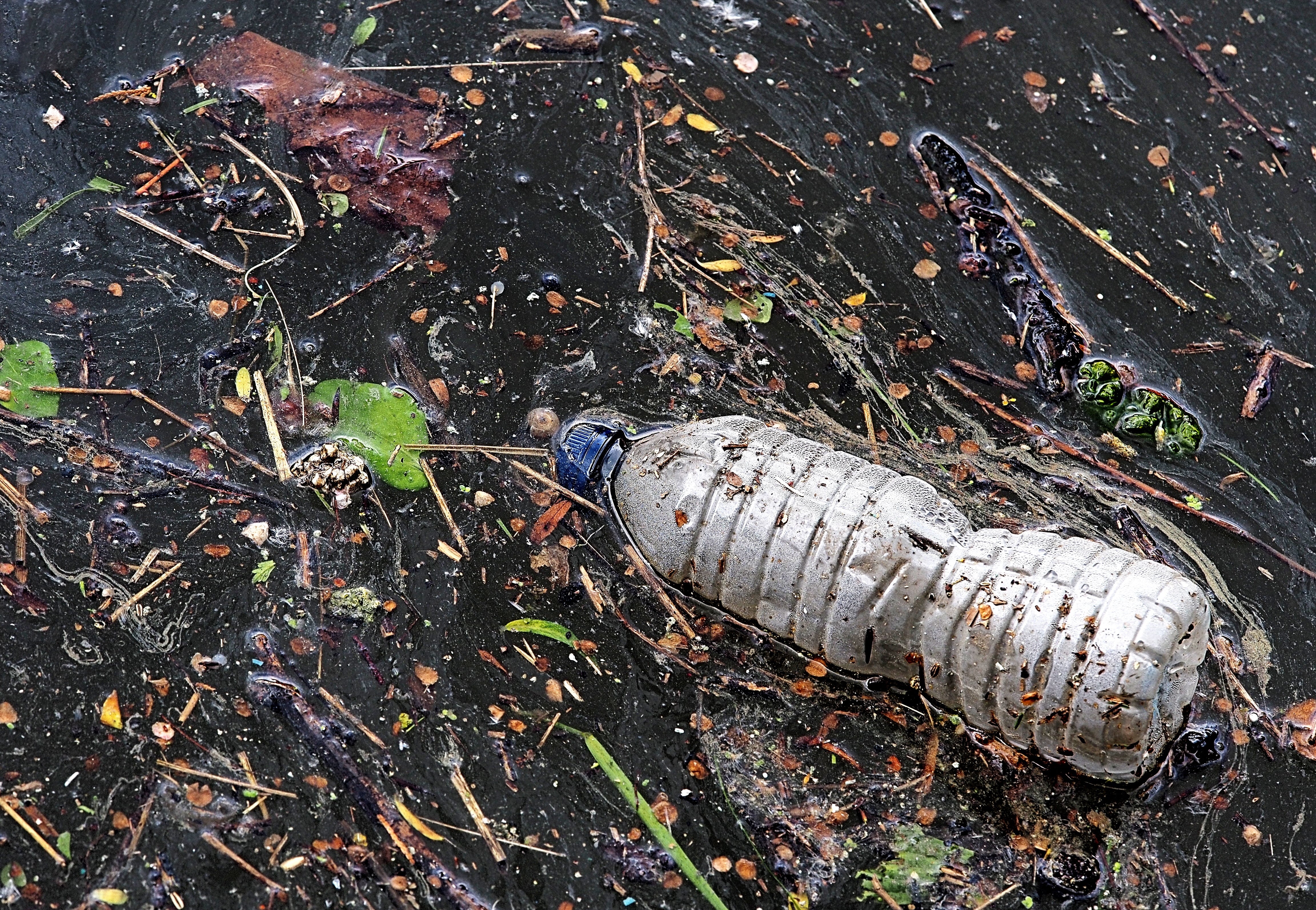 river, decline, litter, contamination, dirt, wood - material, sea, degradable, messy, high angle view, eyesore, contaminate, floating, packaging, drink, HD Wallpaper