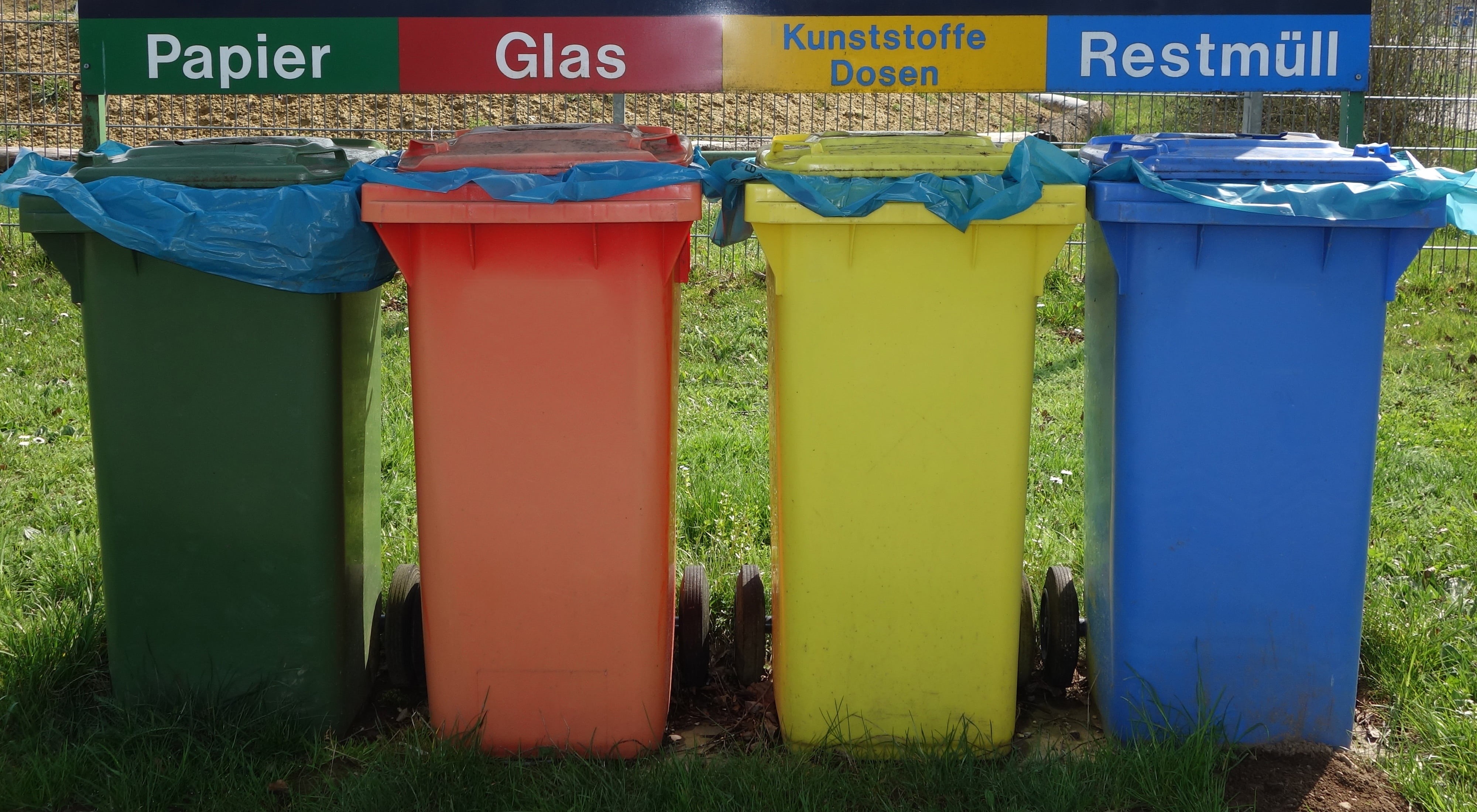 western script, blue, waste bin, grass, organized, bin/tub, in a row, green Color, garbage Bin, waste, red, trash can, side by side, waste bins, waste separation, HD Wallpaper