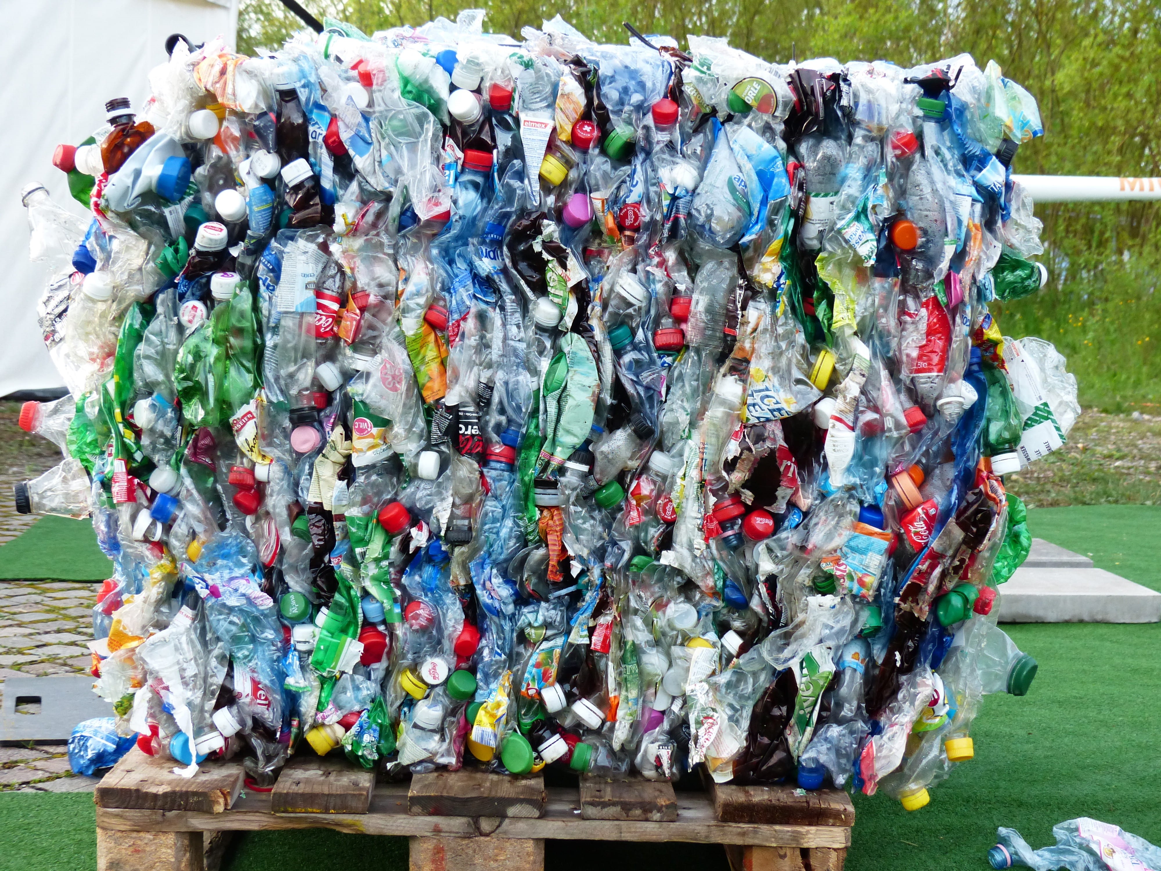 large group of animals, recycling, animal themes, bottles, pallet, animal wildlife, environmental protection, animal, bottle, trashbin, pressed, pressed together, HD Wallpaper