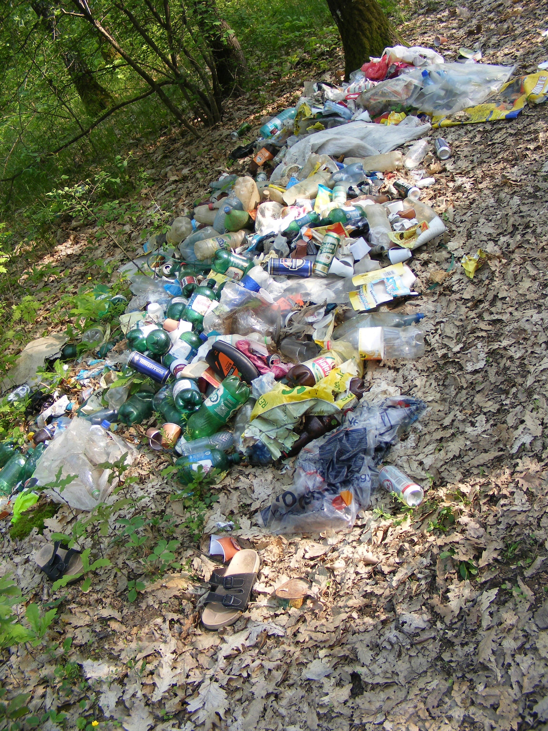 pollution, 2K, recycling center, bottle, green, nature, high angle view, no people, environmental damage, large group of objects, Forest, plastic bag, Phone HD Wallpaper