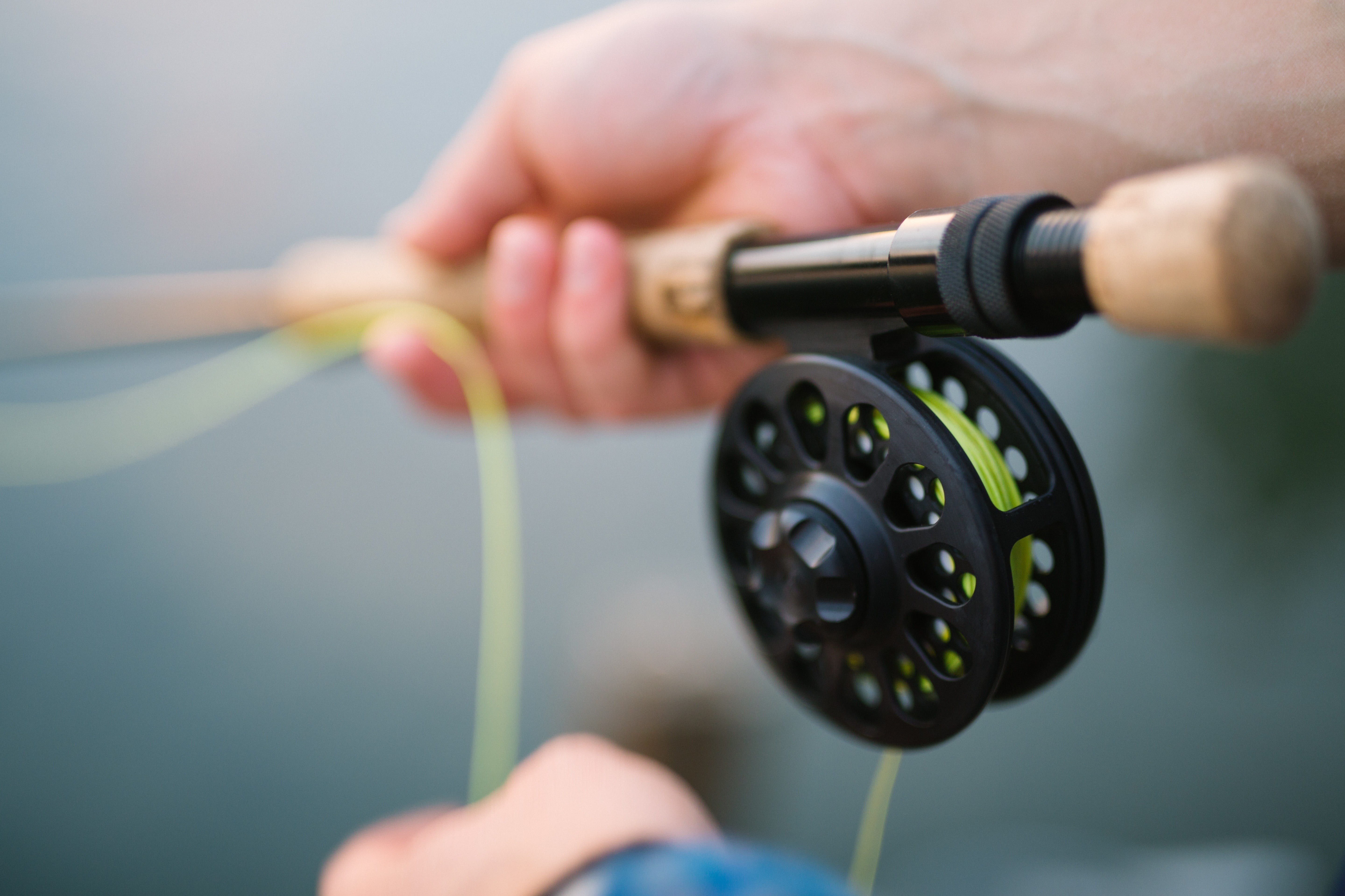 male, photography, close-up, one person, outdoors, adult, human body part, reel, women, body part, inserting, shallow, selective focus, fun, fish, finger, HD Wallpaper
