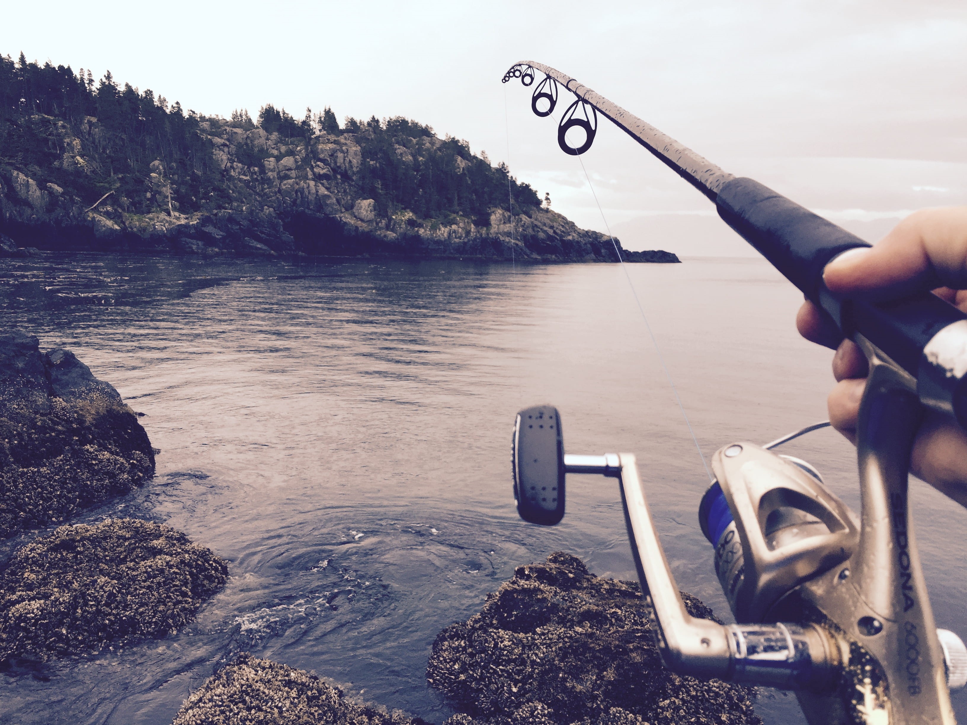 fish, lifestyles, water, crag, human finger, silver, hook and line, hand, lake, outdoor, rock, person, daytime, human body part, real people, human hand, HD Wallpaper