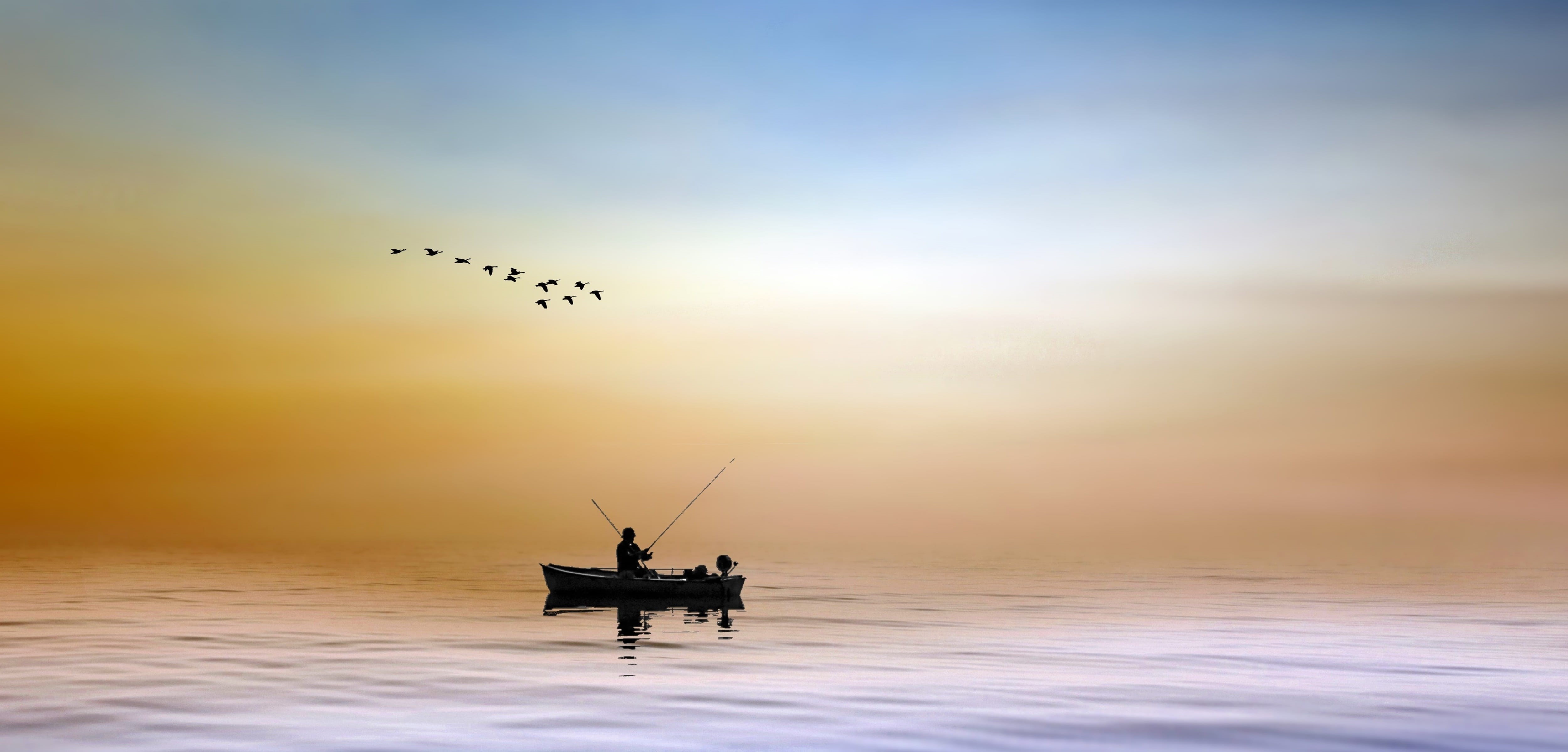 mood, flock of birds, group of animals, vertebrate, nature, fishing, animal, peaceful, waters, angler, silhouette, horizon over water, fish, composing, HD Wallpaper