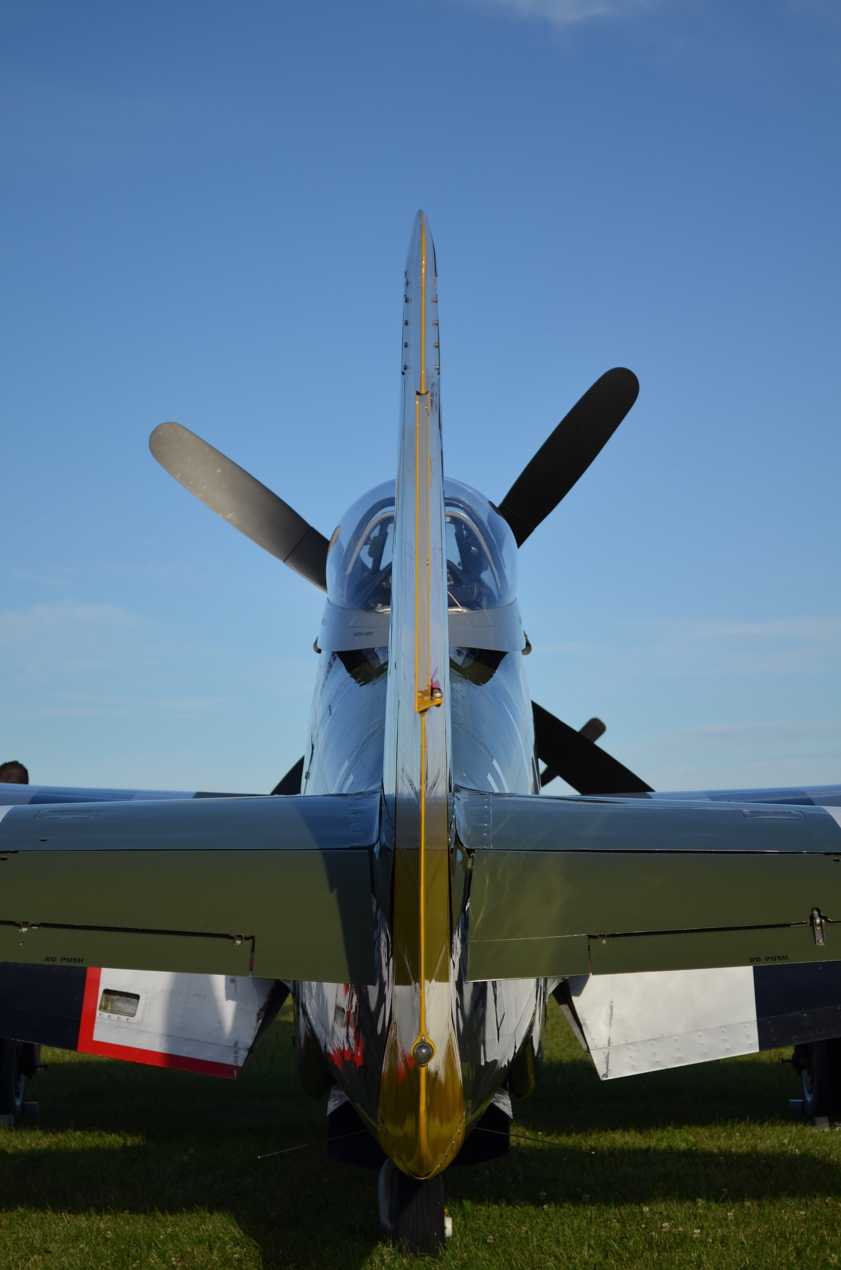 fly, day, grass, military, sunlight, air vehicle, aerospace industry, aircraft, field, blue, p-51, propeller, mode of transportation, land, airport runway, Phone HD Wallpaper