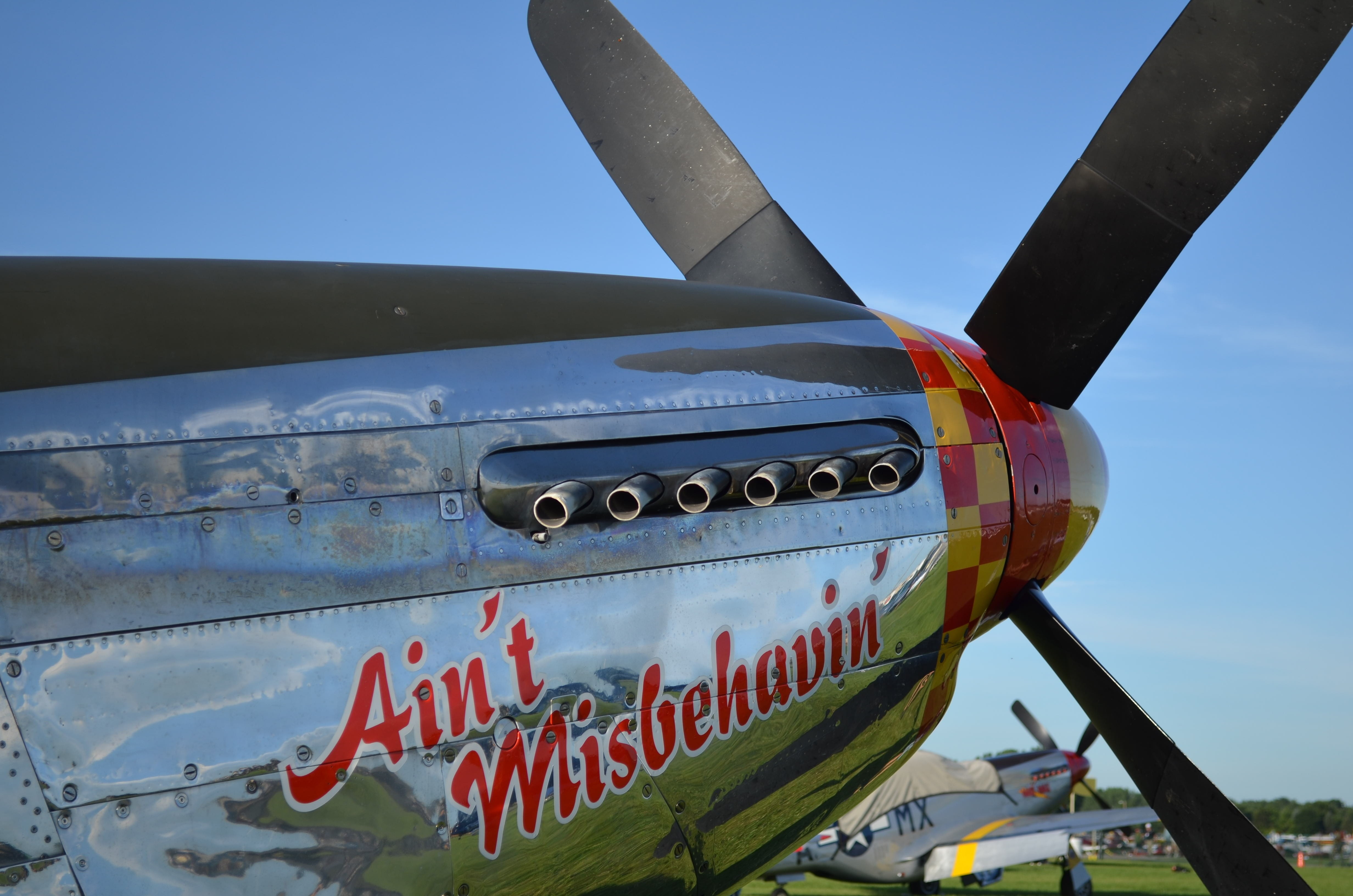 monoplane, tuskegee, closeup, p51, airplane, nature, stationary, no people, outdoors, western script, airport, propeller, aircraft, sky, aviation, vintage, HD Wallpaper
