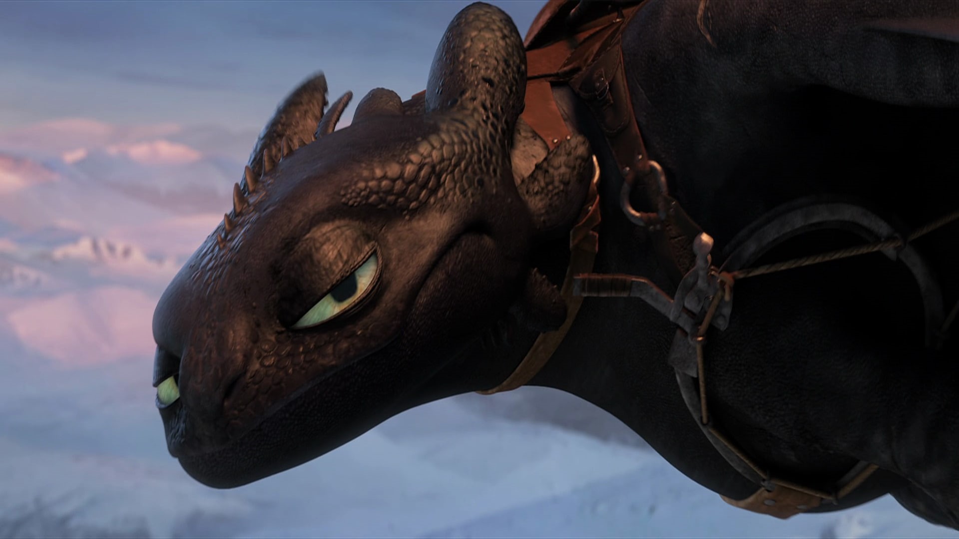 Toothless (How to Train Your Dragon), Movie, How to Train Your Dragon 2, 1080P, HD Wallpaper