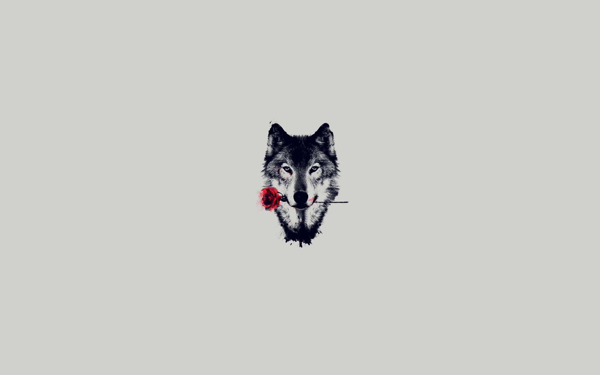 gray, digital/artwork, hd, flower, minimal, wolf, grey, 1080P, rose, HD Wallpaper
