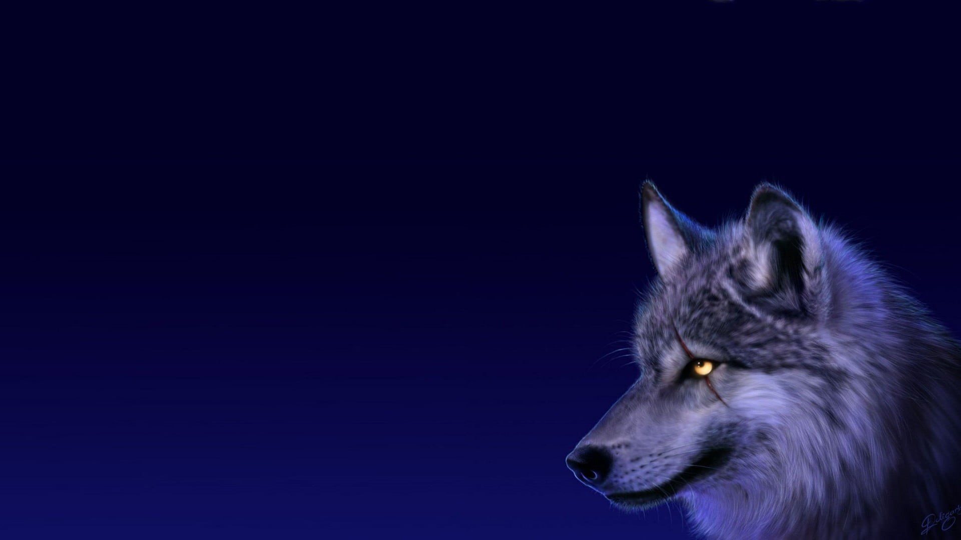 studio shot, animal, wolf, night, simple background, animal wildlife, animals, profile view, blue, black background, white, mammal, close-up, no people, HD Wallpaper