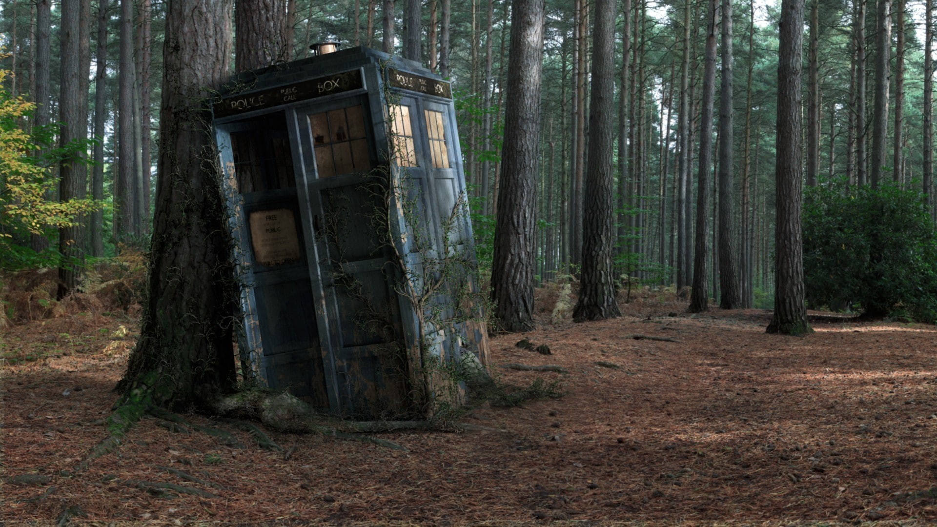 TARDIS, wood, decay, 1080P, Doctor Who, HD Wallpaper