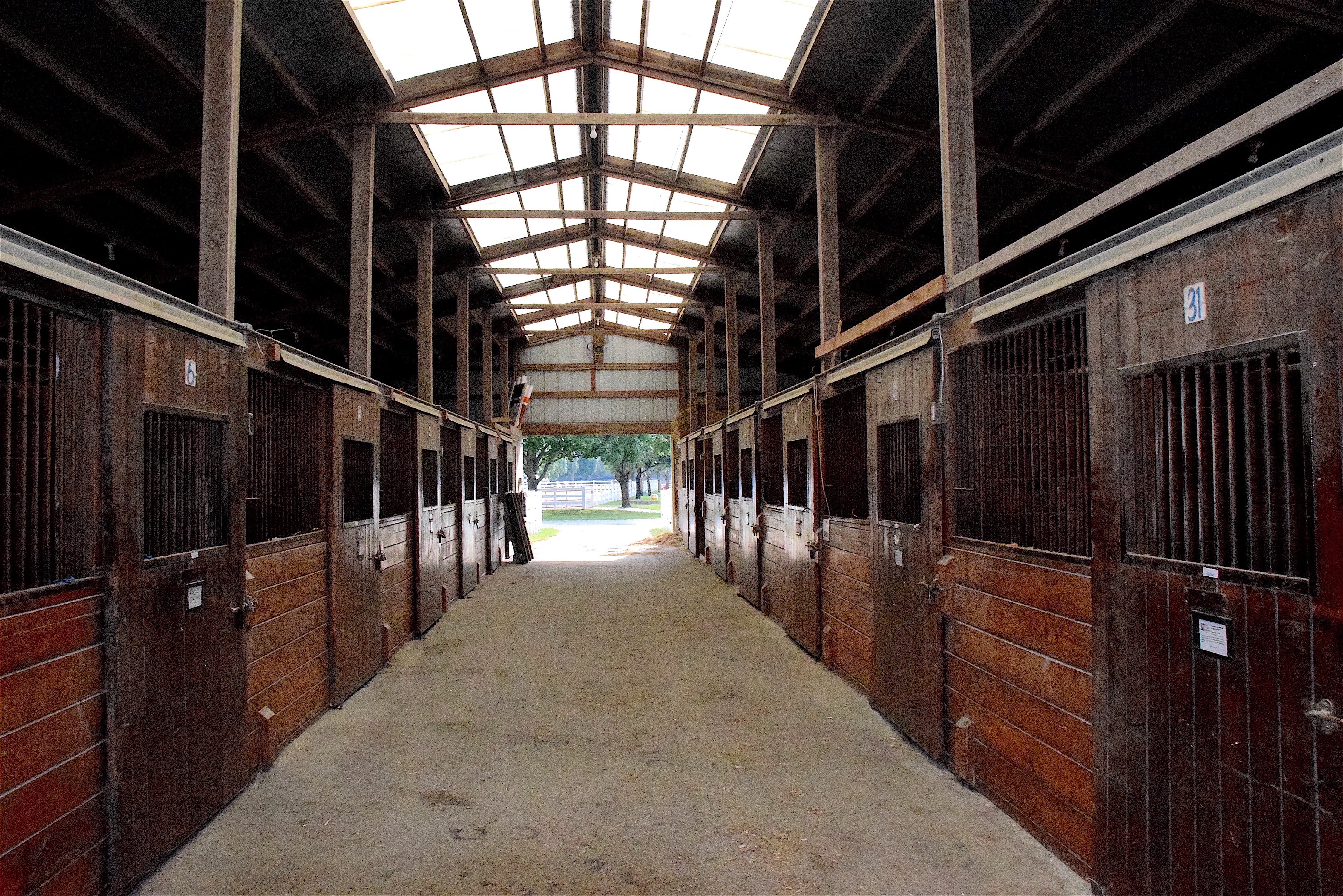 building, day, farm, built Structure, paddock, dirty, empty, no people, window, abandoned, riding, arcade, barn, ceiling, in a row, doors, horse, inside, HD Wallpaper