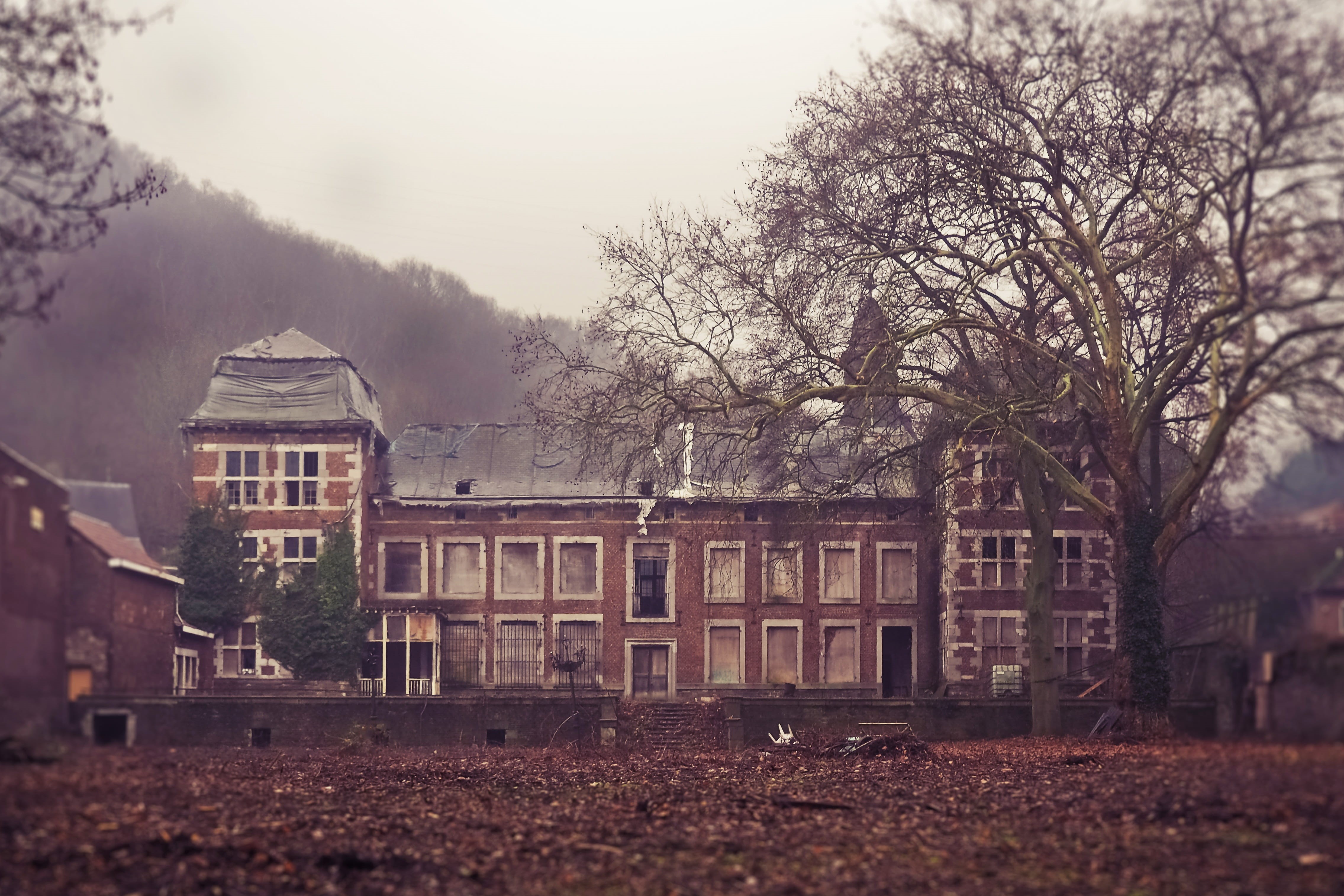 fog, ruin, built structure, nature, land, broken, decay, outdoors, day, house, architecture, abandoned, villa, lapsed, break up, lost places, mood, residential district, HD Wallpaper