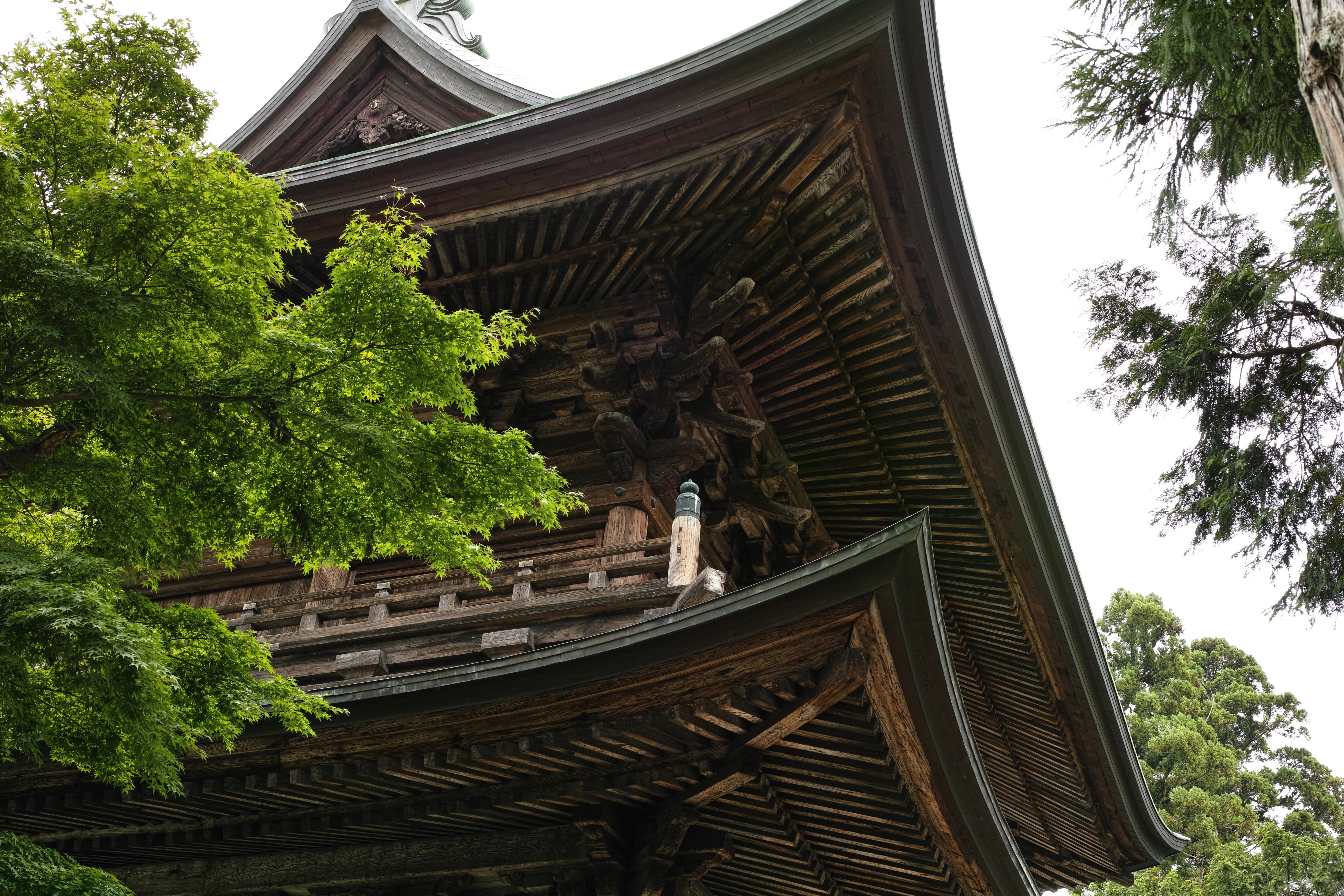 no people, gazebo, building exterior, angle, brown, nature, wooden, low, history, place of worship, day, 4K, sky, architecture, tree, low angle view, building, HD Wallpaper