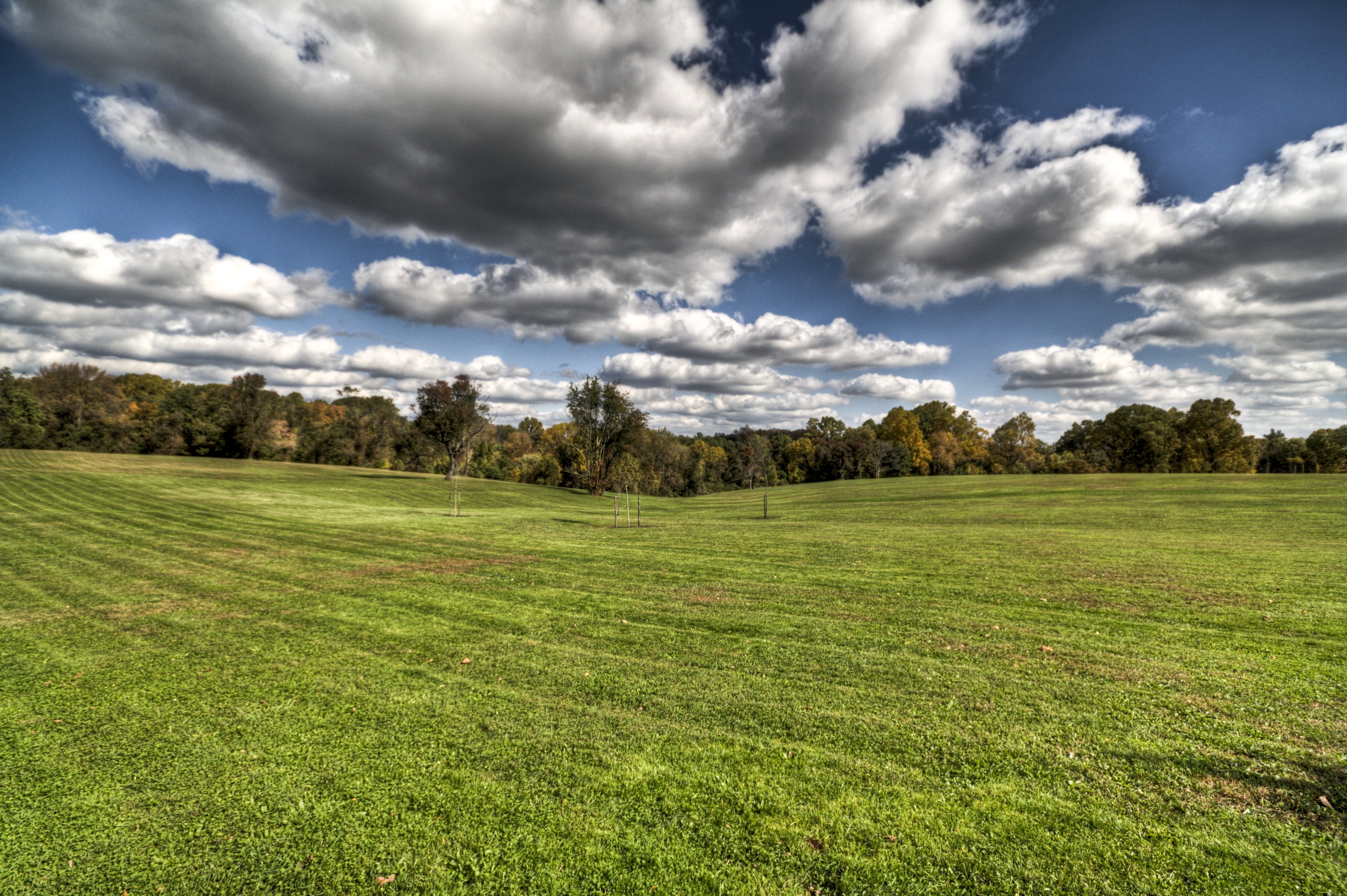 4K, surrounded, cloudy, meadow, field, trees, IMG, blue, green Color, Chester  Park, green grass, 20mm, tree, outdoors, summer, sky, landscape, grass, HD Wallpaper
