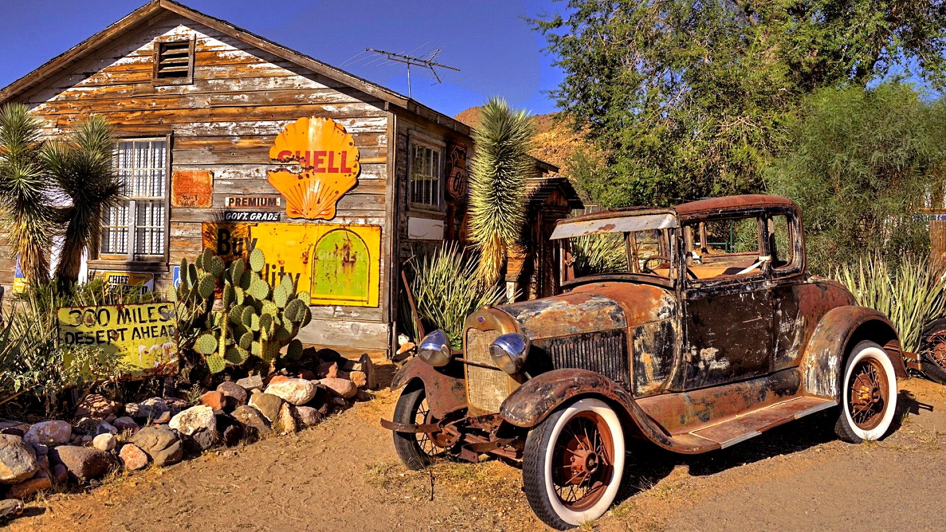 abandoned, cactus, classic car, metal, plant, retro styled, no people, photography, sunlight, rusty, route 66, day, antique car, hackberry, mode of transportation, HD Wallpaper