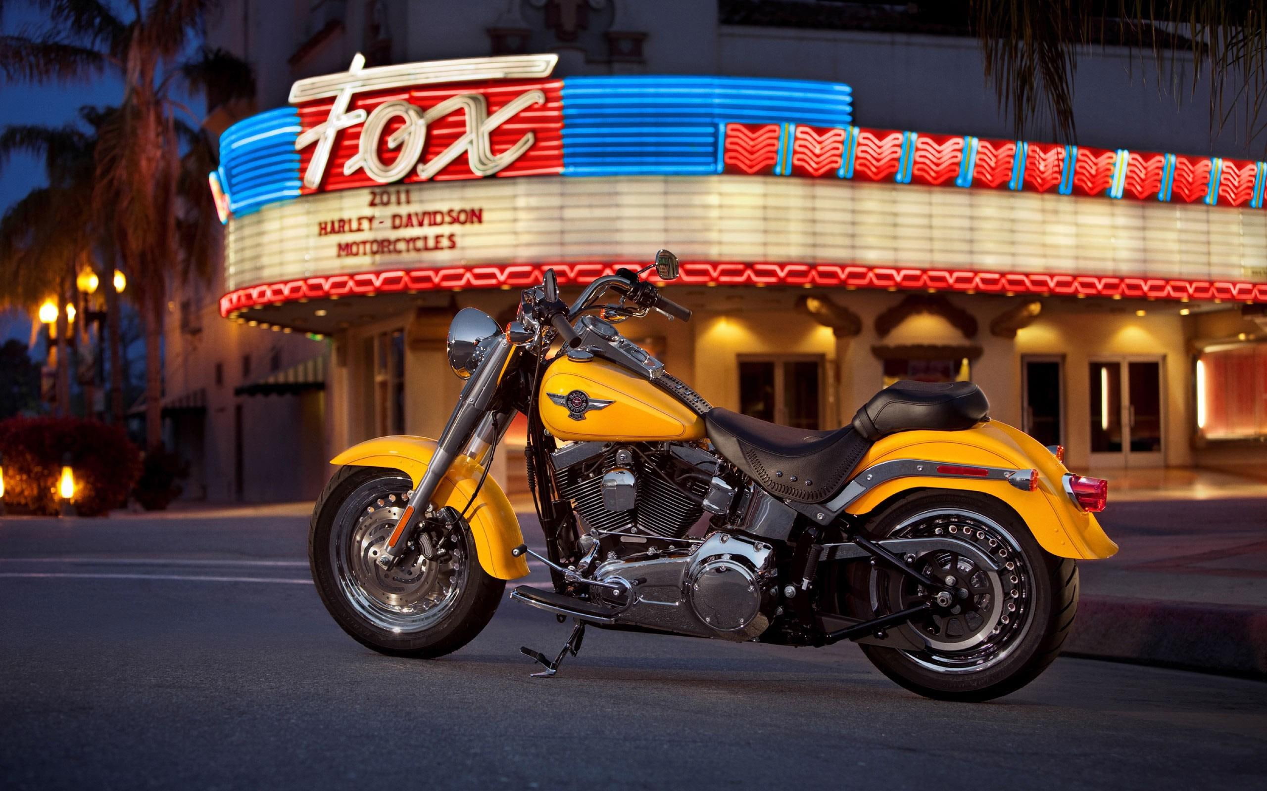 davidson, lights, harley, motorcycle, 2K, yellow, night, HD Wallpaper