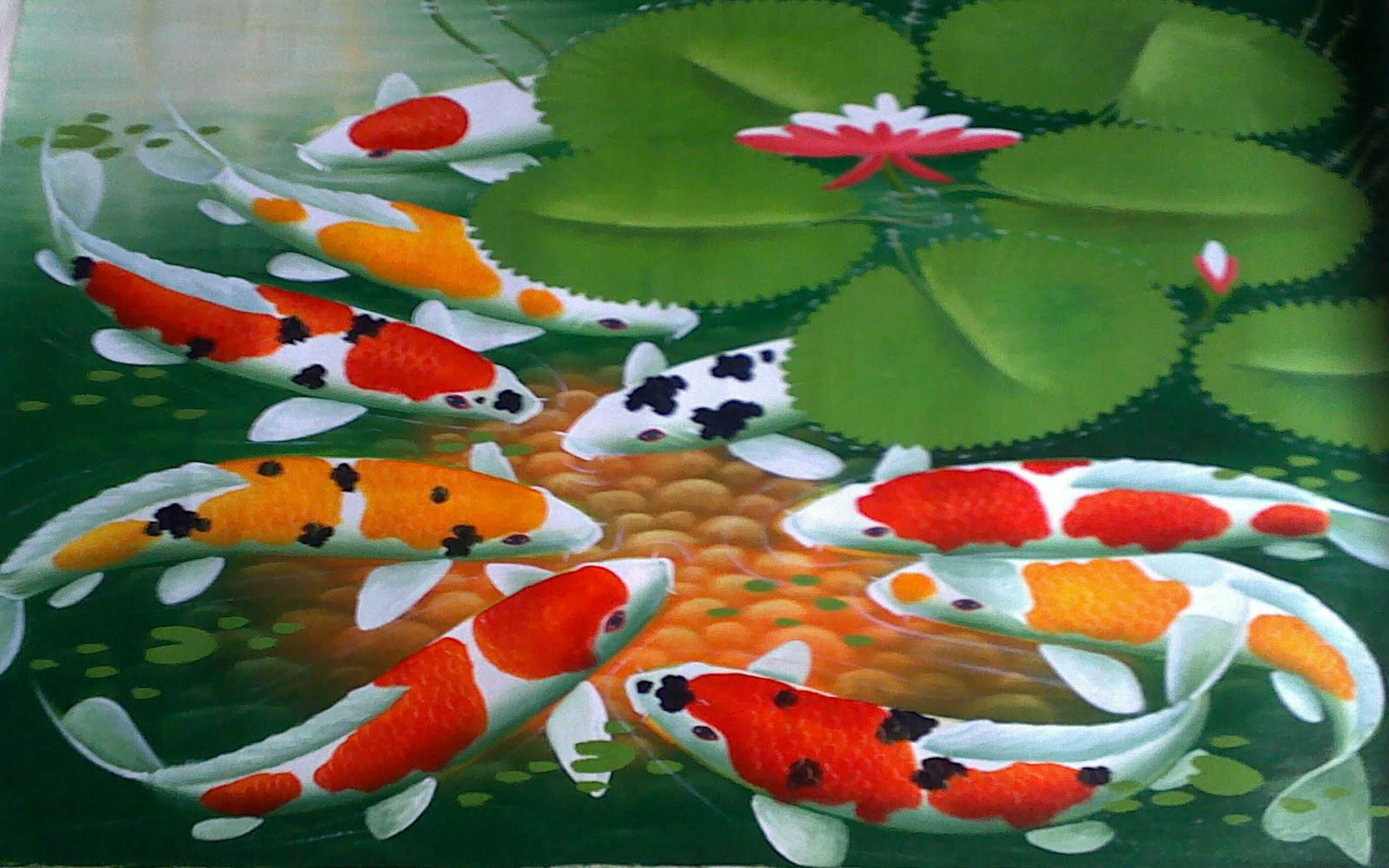 fishes, fish, day, animal themes, animal wildlife, vertebrate, marine, animals in the wild, orange color, high angle view, indoors, goldfish, nature, koi, HD Wallpaper
