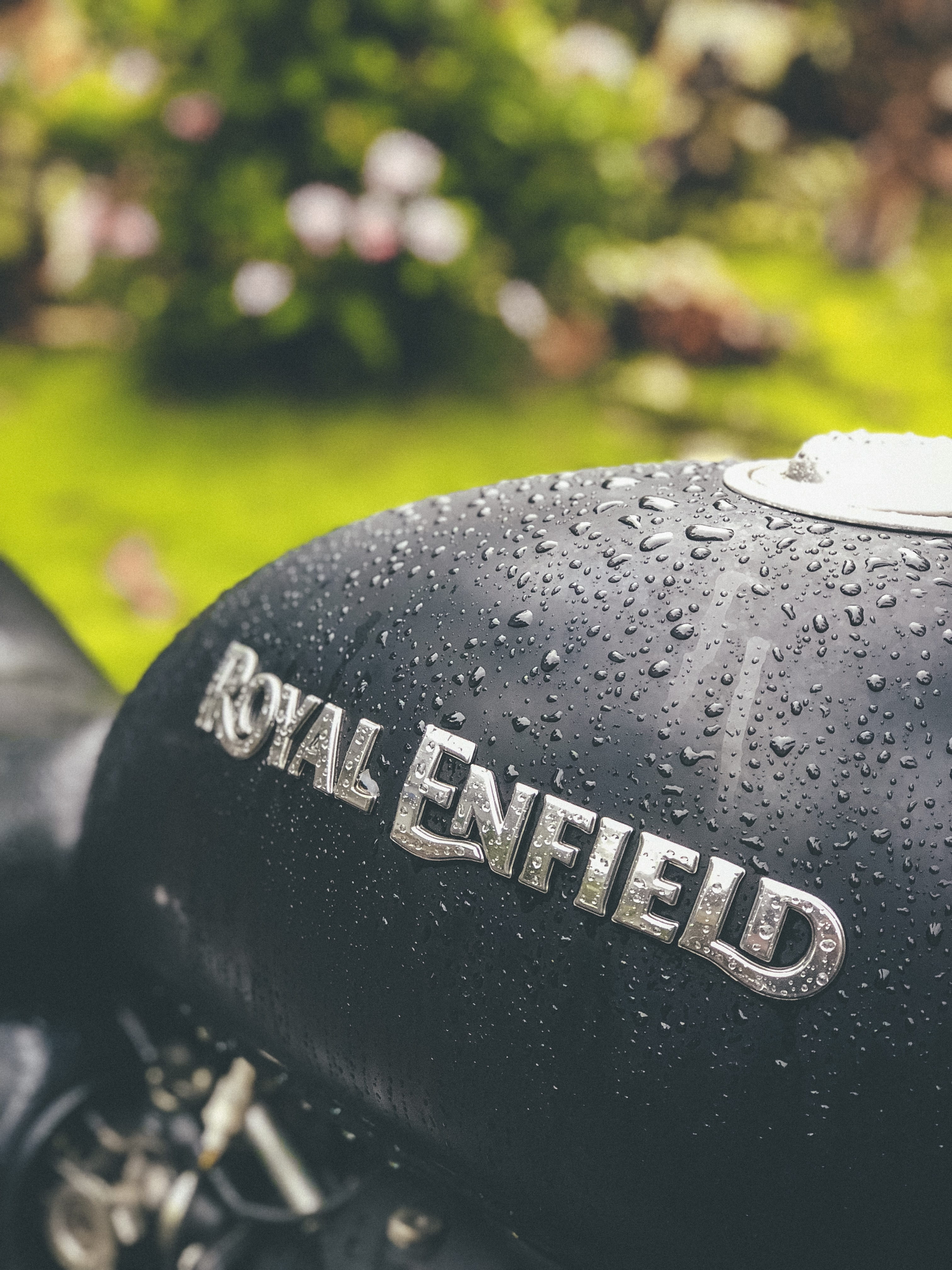motor vehicle, leaf, green, transportation, tar, 4K, plant, no people, western script, tire, car, word, outdoors, day, nature, close-up, number, trademark, Phone HD Wallpaper