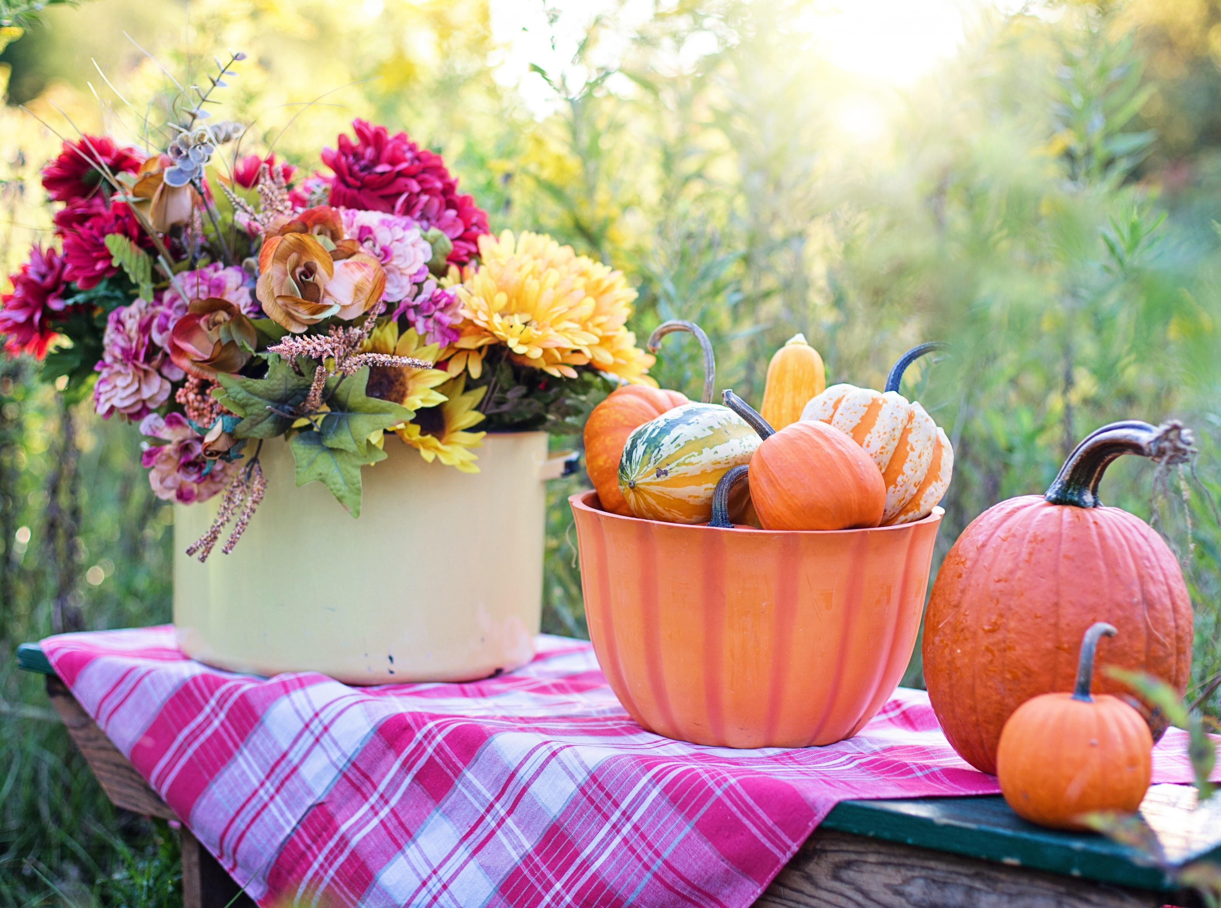 Season, still, Autumn, Table, early, Outdoor, Harvest, healthy, Flowers, Fruits, 4K, Pumpkin, Fall, life, rustic, pumpkins, stilllife, Seasons, bowl, HD Wallpaper