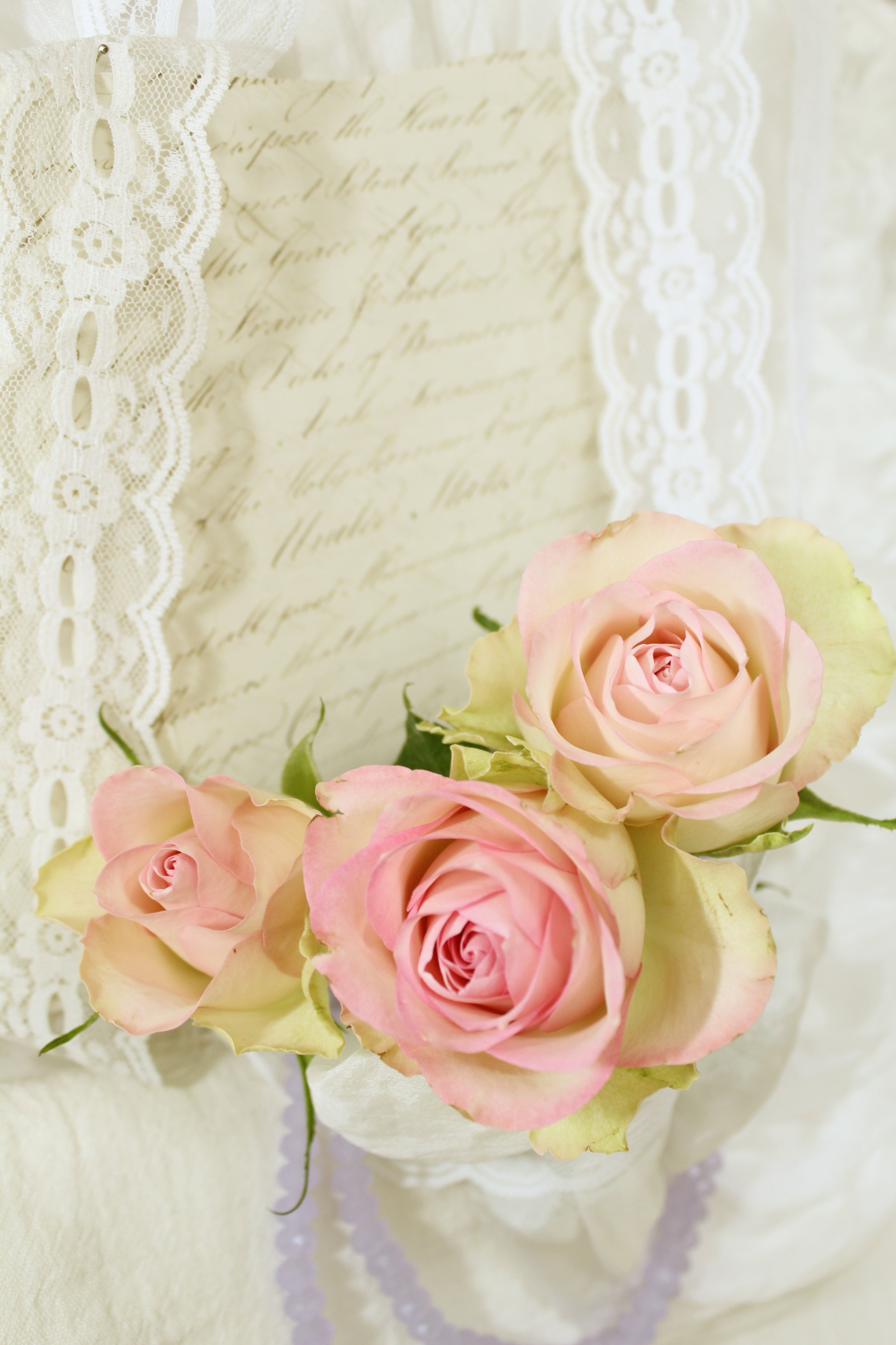 no people, flower arrangement, scrapbook, roses, rose, pink, bunch of flowers, flower head, wedding, floral pattern, flowering plant, celebration, vintage, Phone HD Wallpaper
