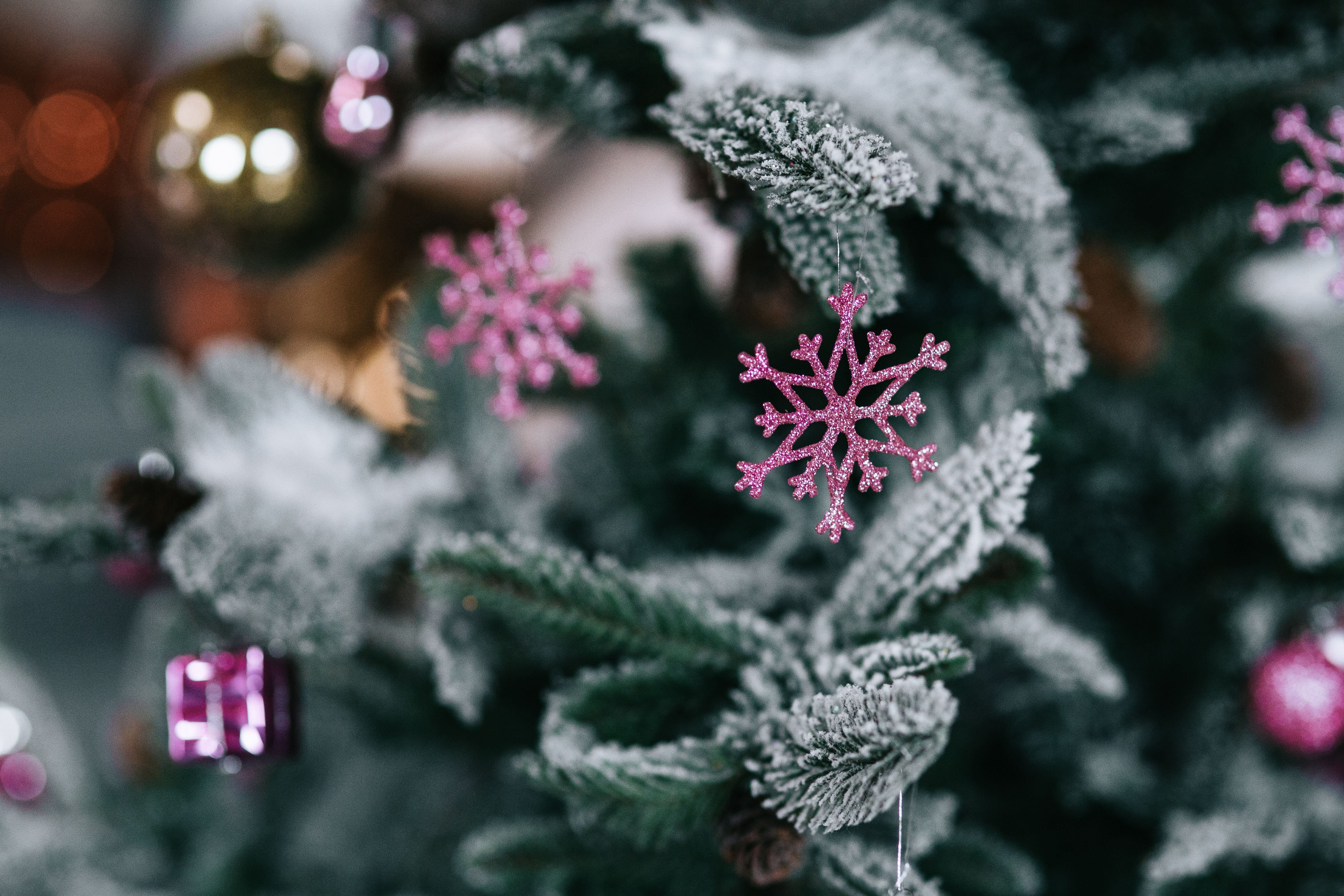 snowflake, cold temperature, frozen, plant, no People, balls, Christmas tree, snow, close-up, tree, small, decoration, christmas Ornament, red, freshness, HD Wallpaper