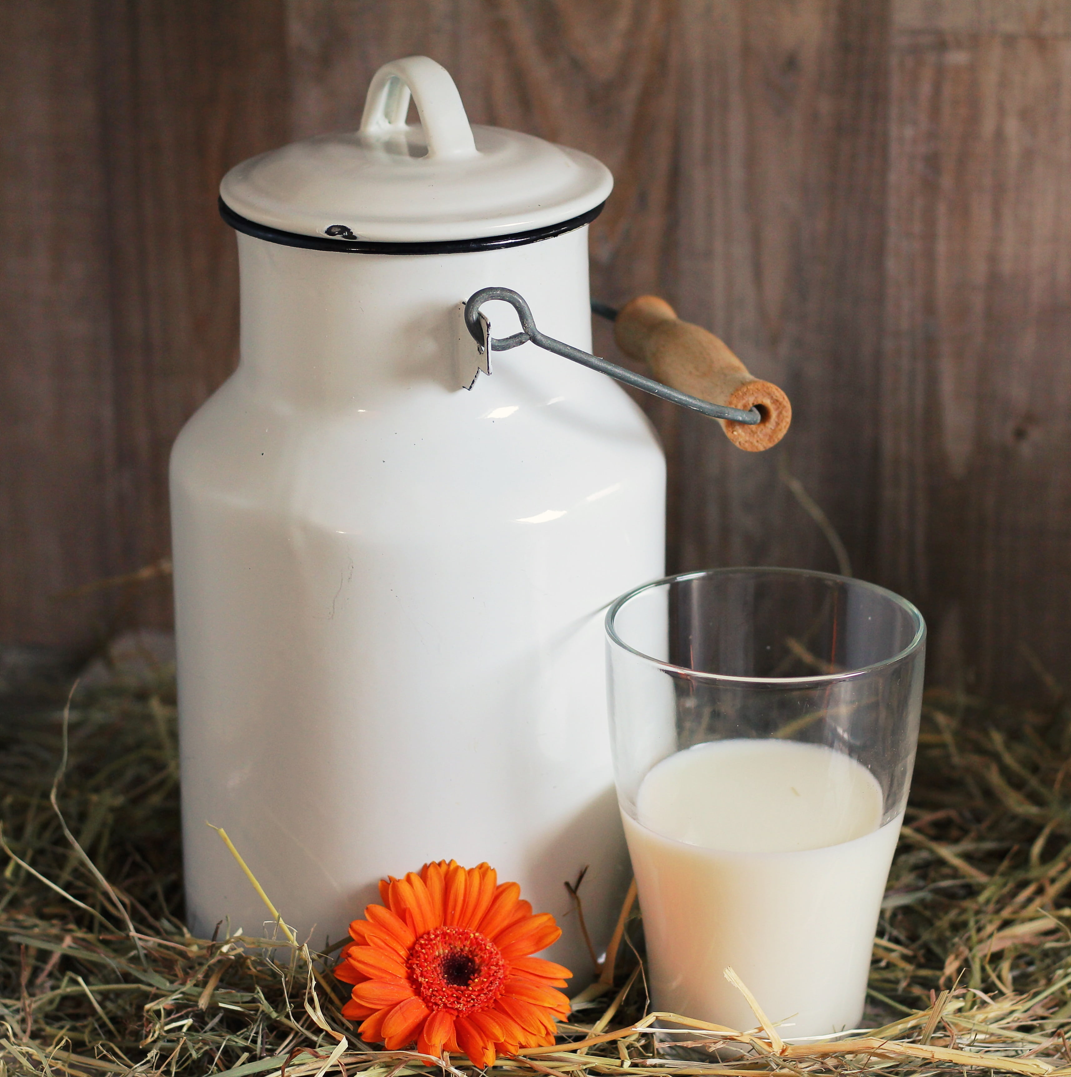 healthy, gerbera, straw, glass, can, white, table, teapot, still life, milk can, milkshake, blossom, drinking, glass of milk, no people, freshness, close-up, Phone HD Wallpaper