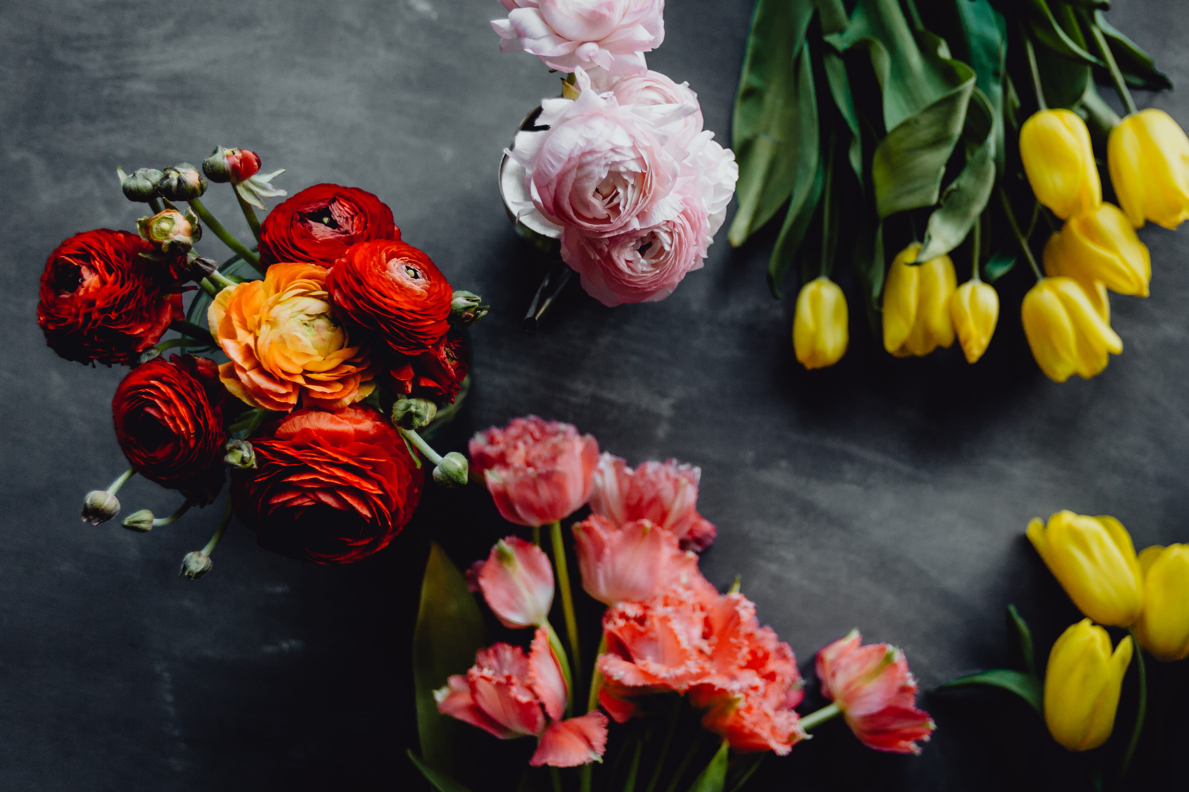 rose - flower, arrangement, 4K, bloom, indoors, floral, rose, nature, black background, petal, pink color, bouqet, bunch of flowers, copy paste, vulnerability, HD Wallpaper
