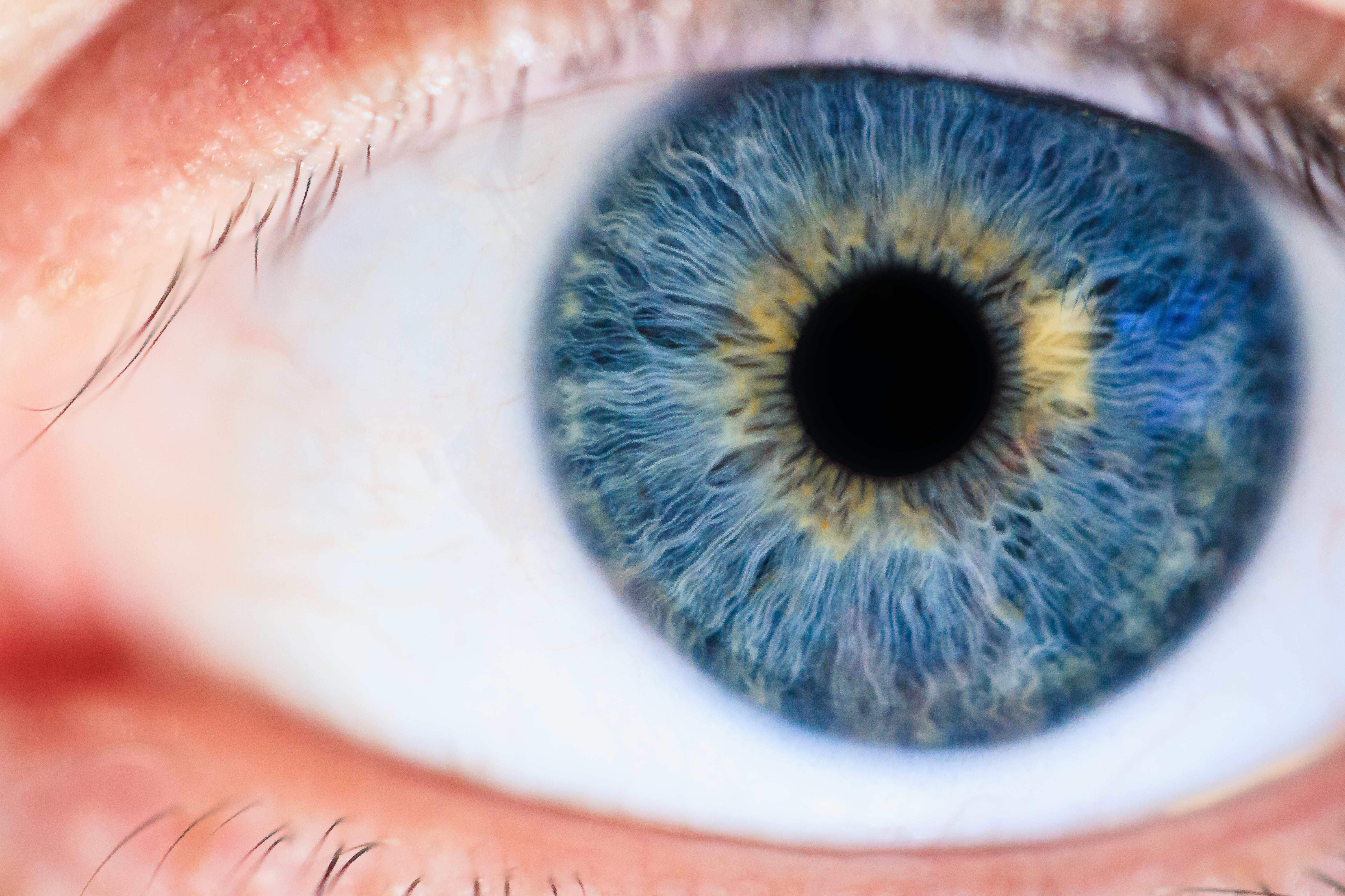 5K, macro, vision, eyeball, sight, people, eyebrow, human eye, extreme close-up, iris - eye, eyelash, blue eyes, body part, human face, eyesight, reflection, HD Wallpaper