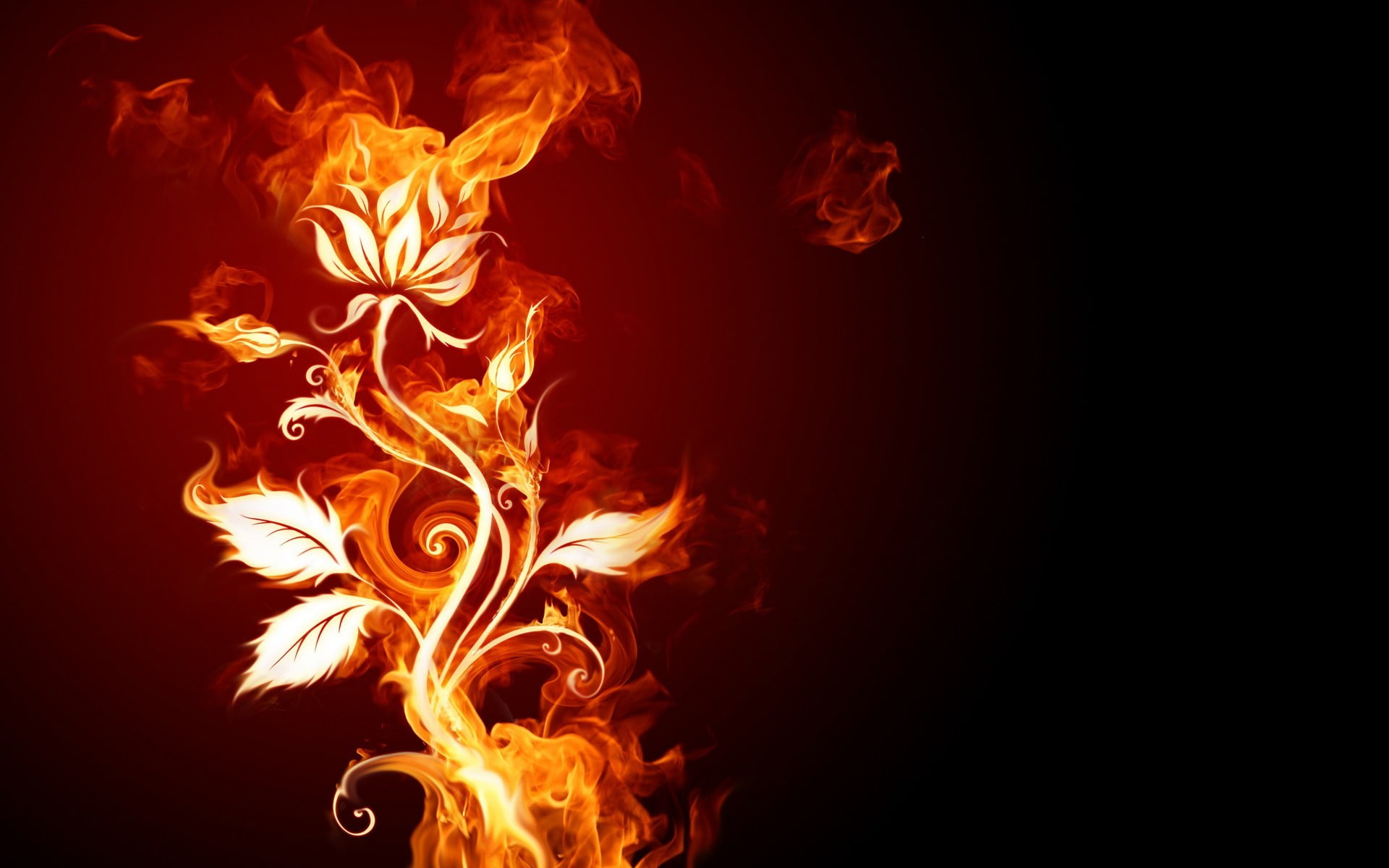 1080P, cut out, flower, fire - natural phenomenon, copy space, studio shot, nature, orange, no people, red, burning, black background, warning sign, flame, HD Wallpaper