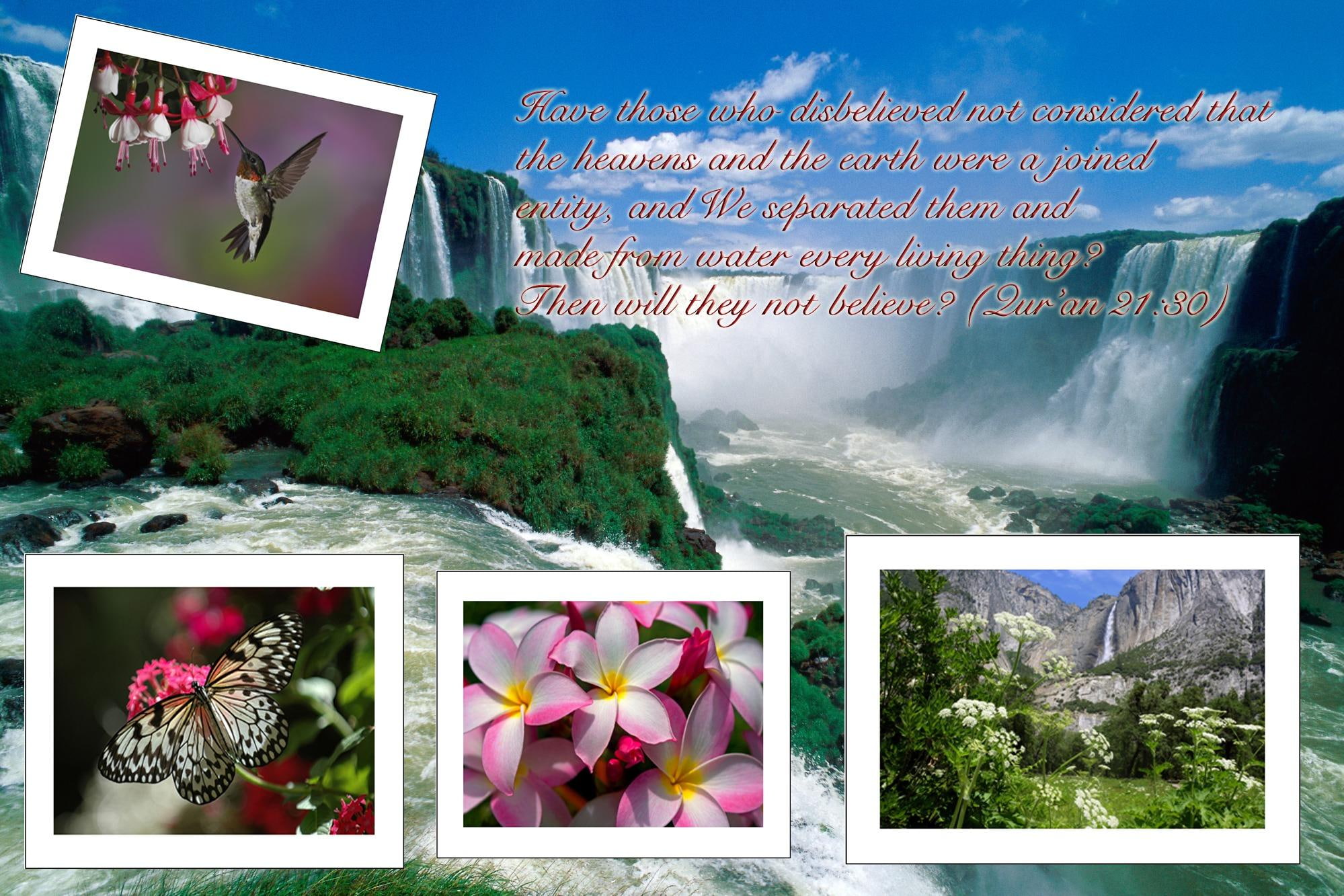 1080P, 3d and abstract, birds, book, guidance, verse, waterfall, brazil waterfall, flowers, HD Wallpaper