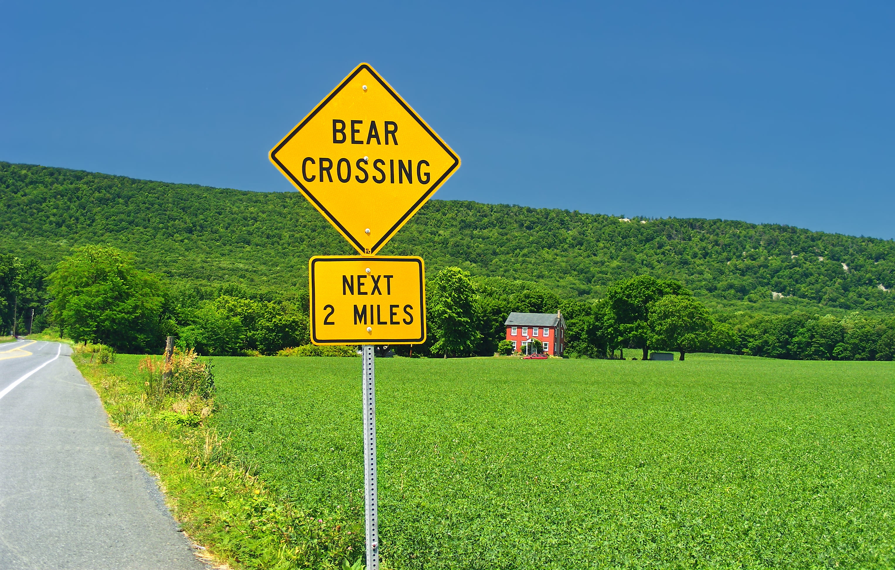 road Sign, creative commons, road, Lehigh Valley, Lynn Township, Pennsylvania, bright light, Kittatinny Mountain, Lehigh County, 2K, Valley  road, PA-309, HD Wallpaper