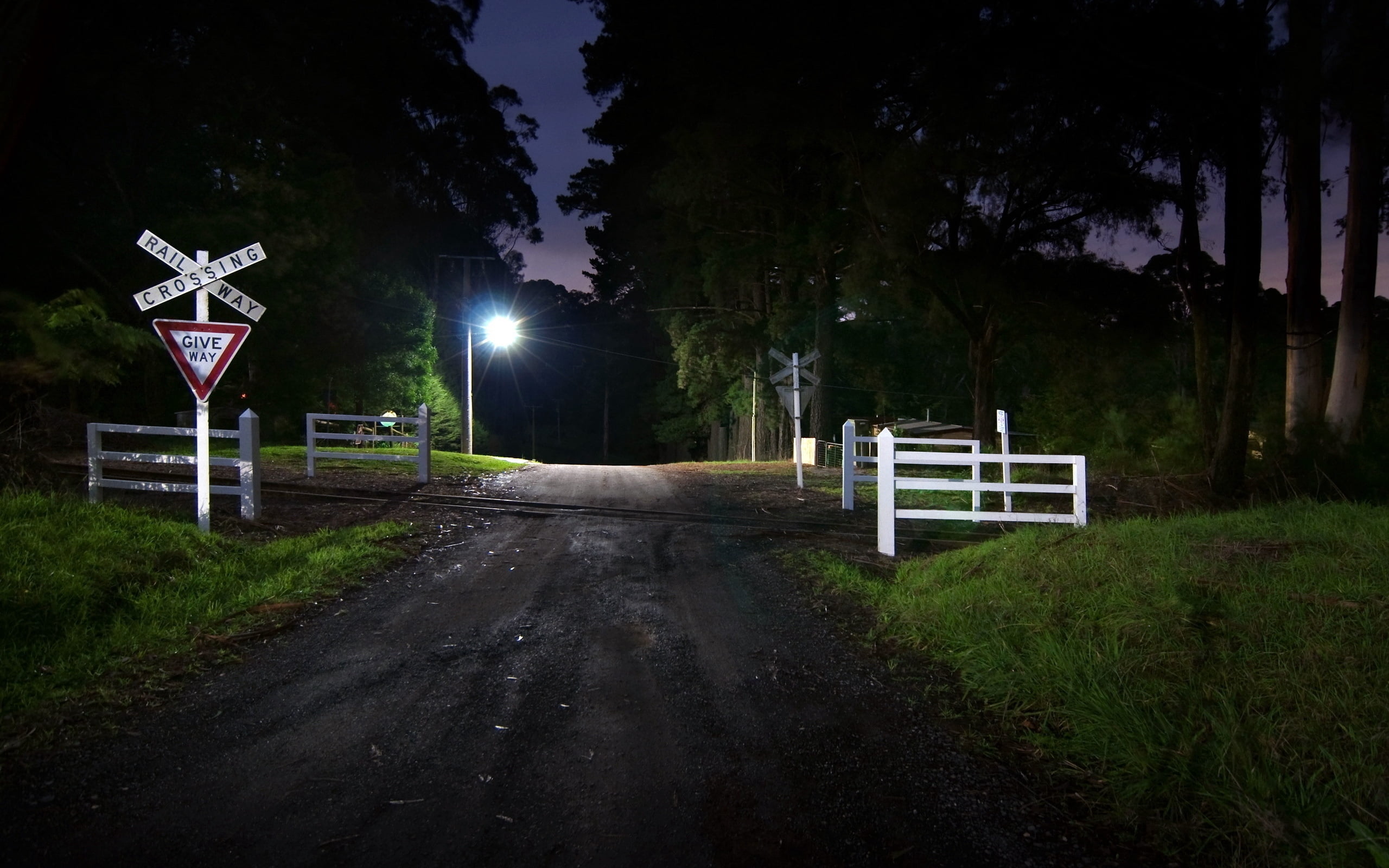 travel, four, direction, night, nature, dusk, green Color, sign, land, signs, crossing, white, street light, no People, grass, transportation, tree, 2K, HD Wallpaper