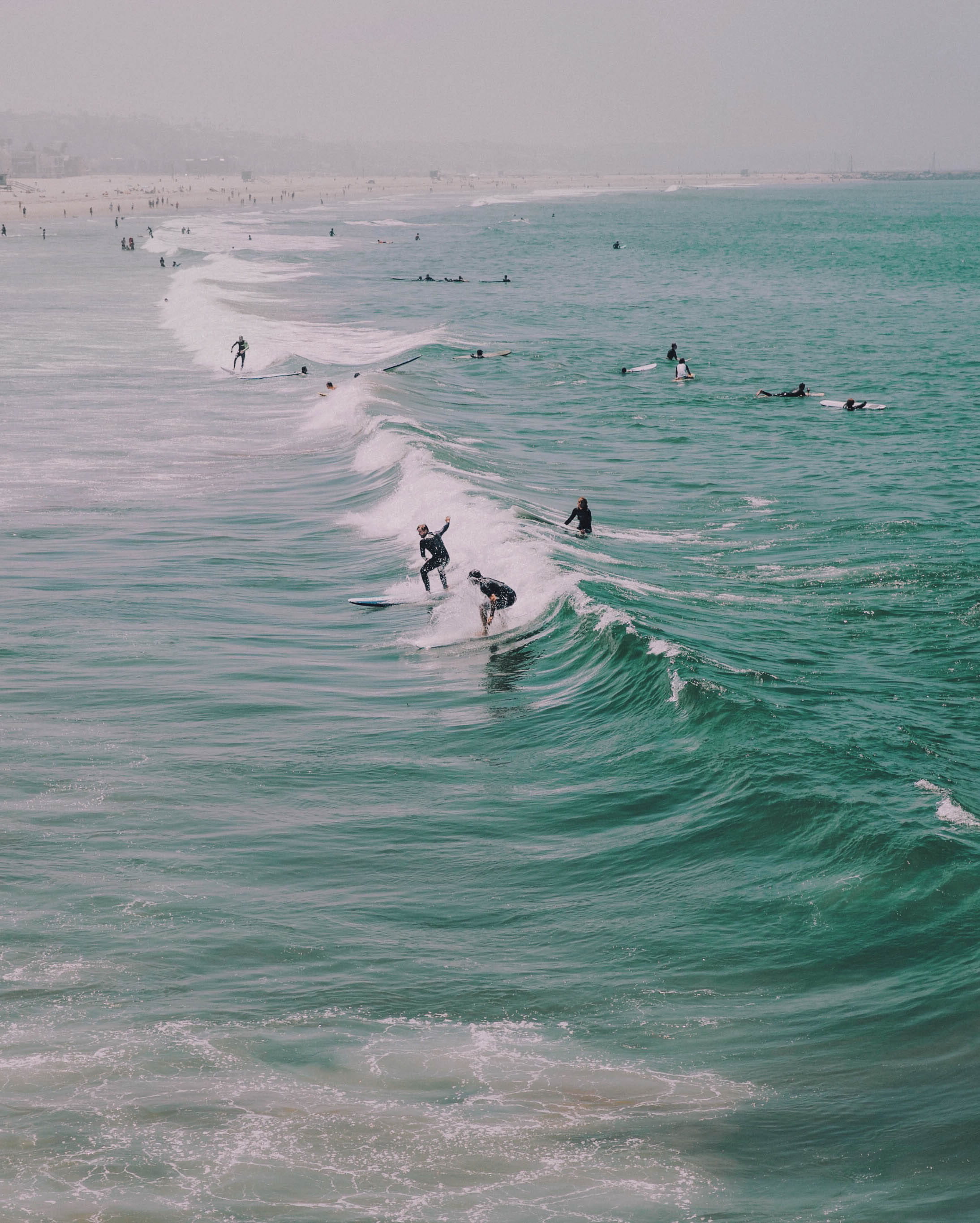 sport, animal wildlife, group of animals, surf, sea, swimming, californium, large group of animals, cali, people, coastline, land, surfing, hang, beauty in nature, Phone HD Wallpaper
