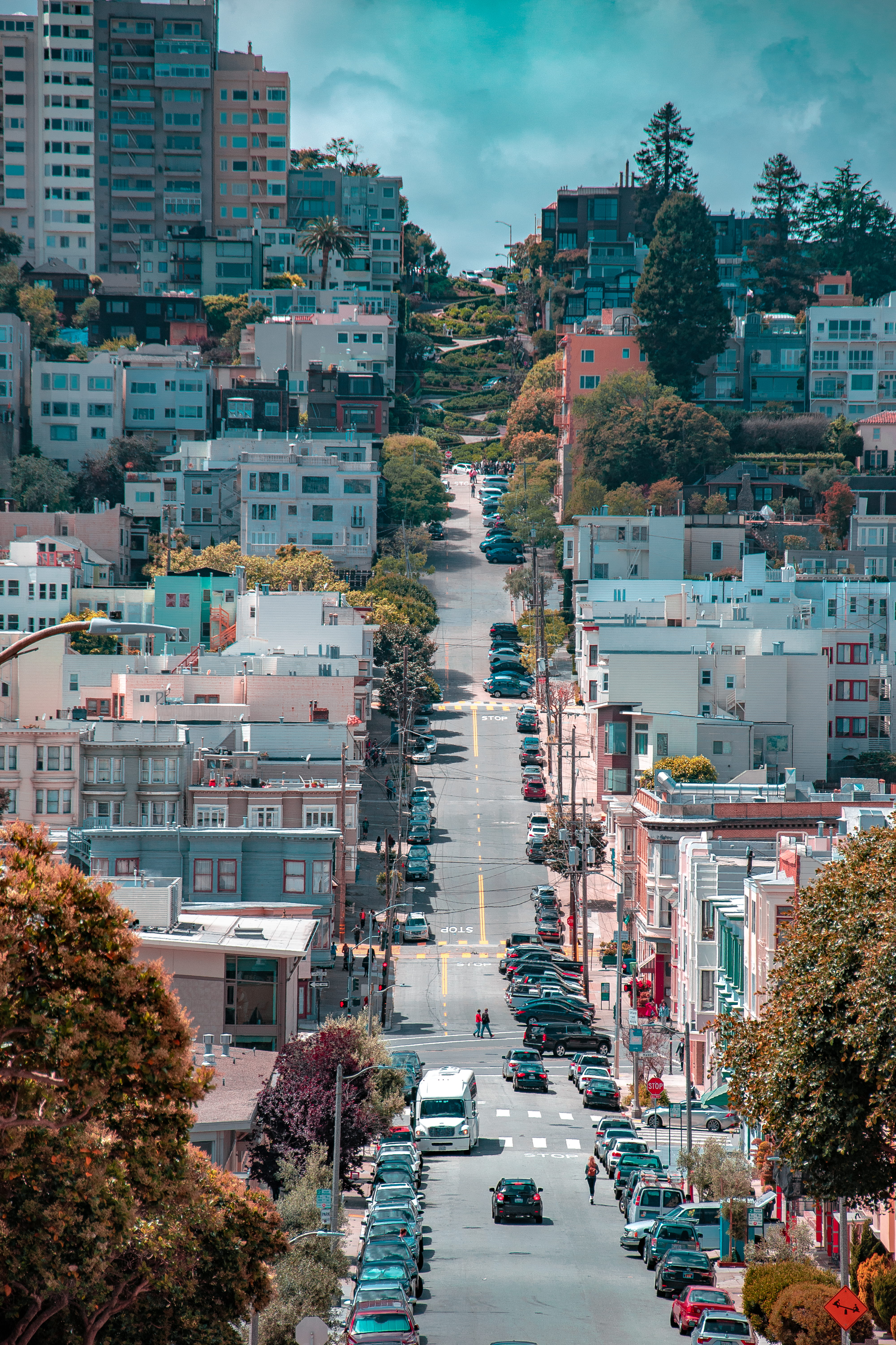 nature, california, 5K, residential district, slope, daytime, built structure, landscape, motor vehicle, lombard street, building, tree, plant, day, vehicle, Phone HD Wallpaper
