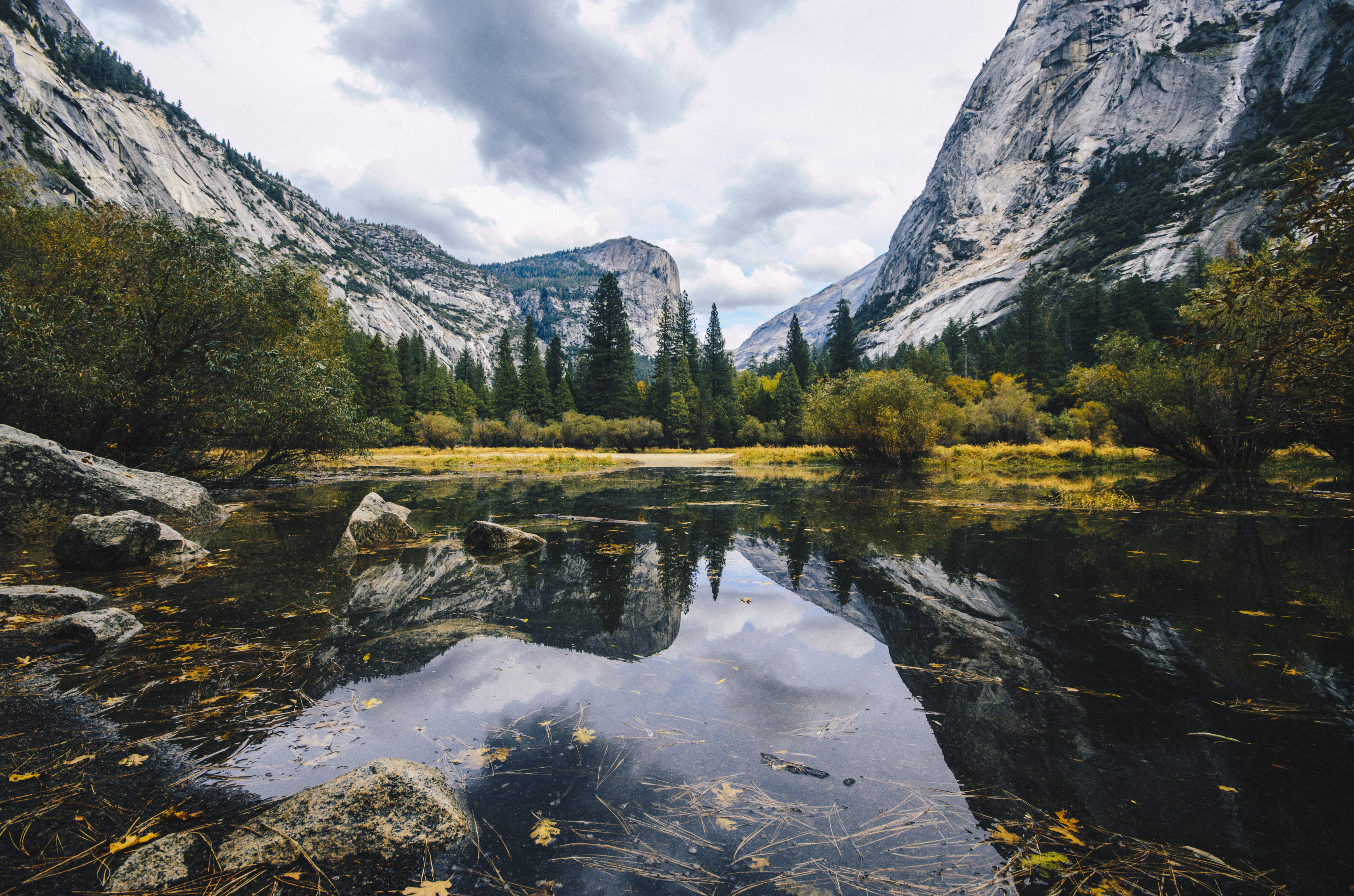 mountain, coniferous tree, 4K, tranquil scene, body, pine tree, grass, nature, daytime, sky, cloud, tranquility, trees, yosemite, near, lake, water, mountain range, HD Wallpaper