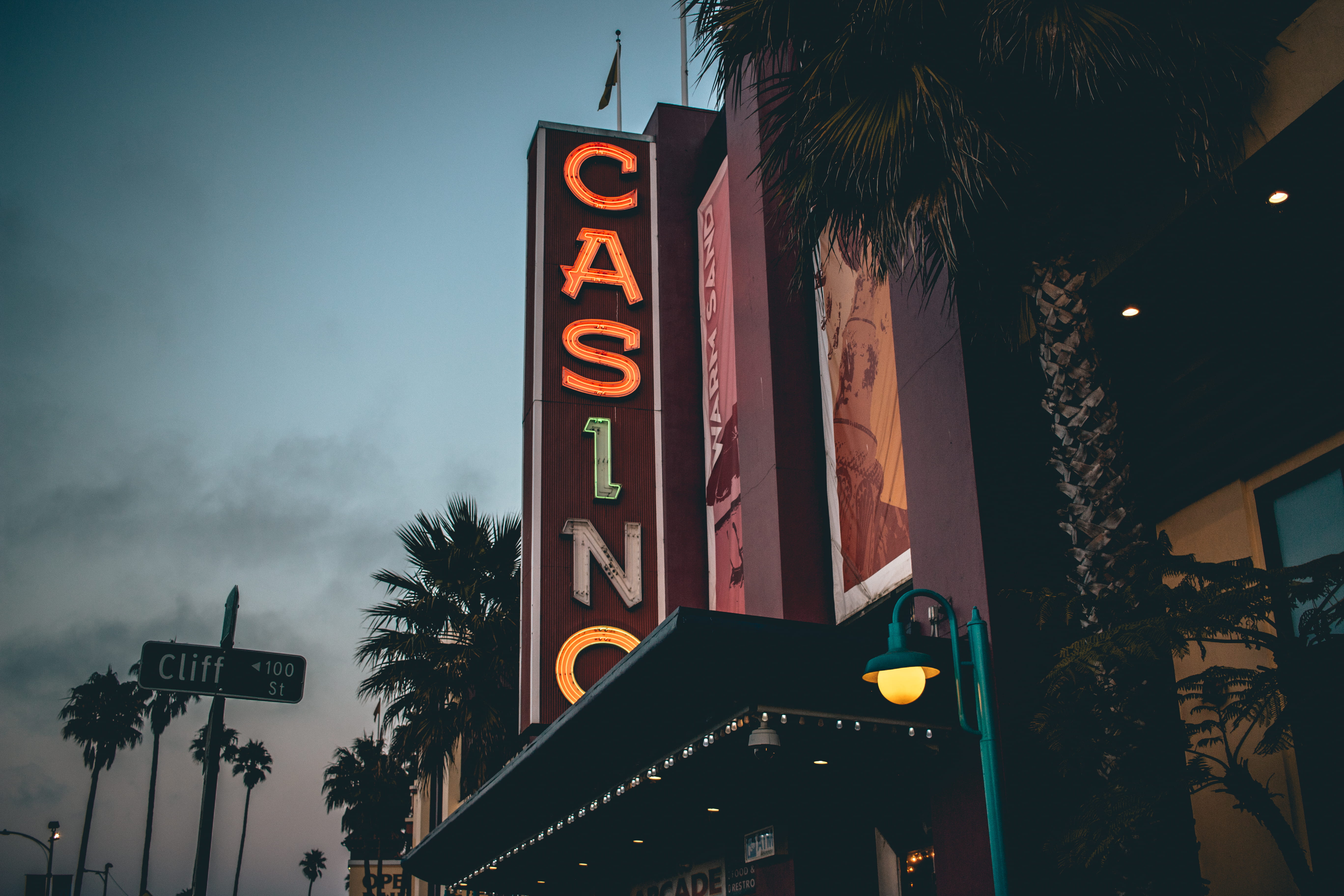 no people, palm tree, entrance, gamble, santa cruz, signage, west coast, night, gambling, city, communication, urban, evening, marquee, plant, outdoors, HD Wallpaper