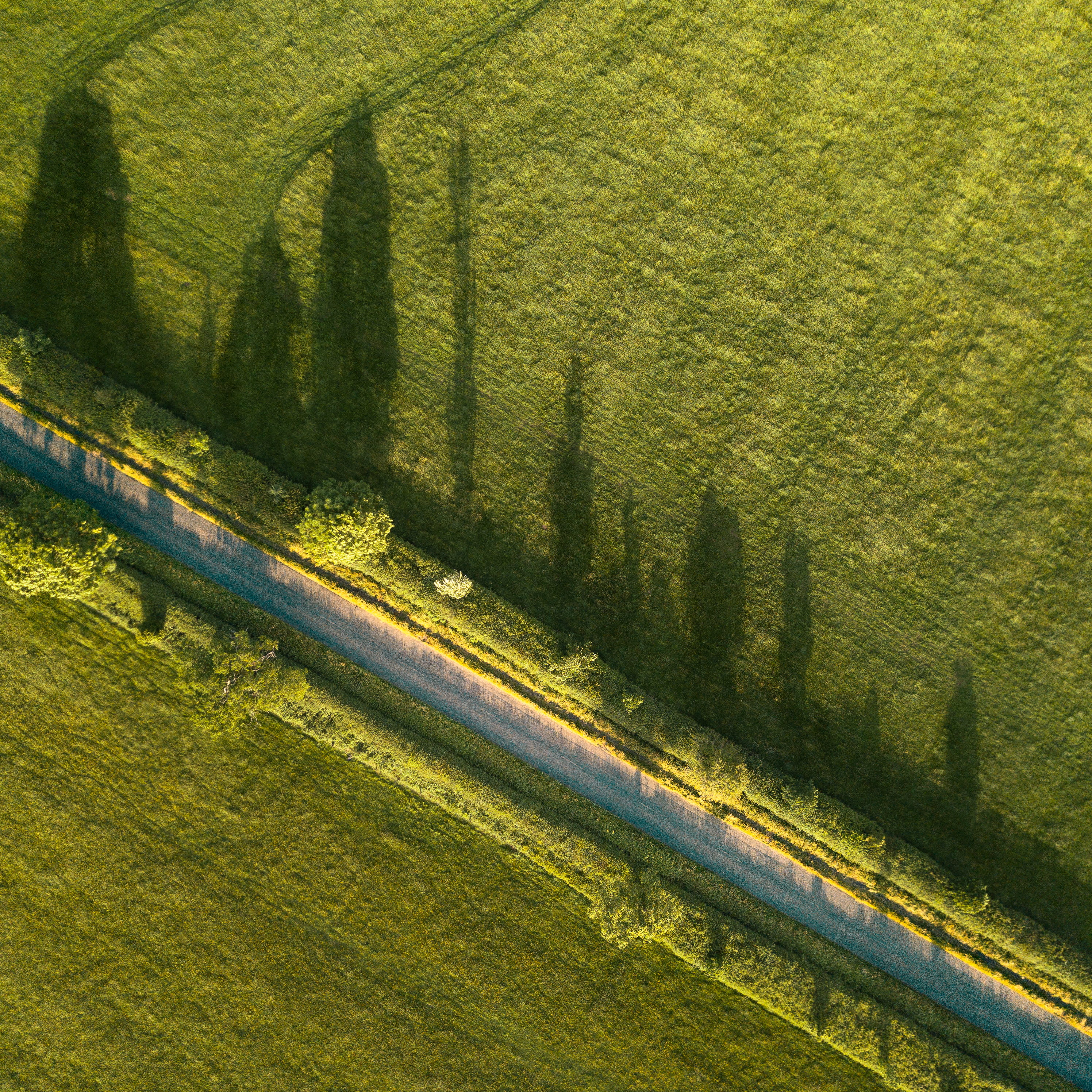 industry, plant, agriculture, tranquility, tree, land, no people, growth, drone view, tranquil scene, flying, scenics - nature, cereal Plant, 2K, photography, Phone HD Wallpaper
