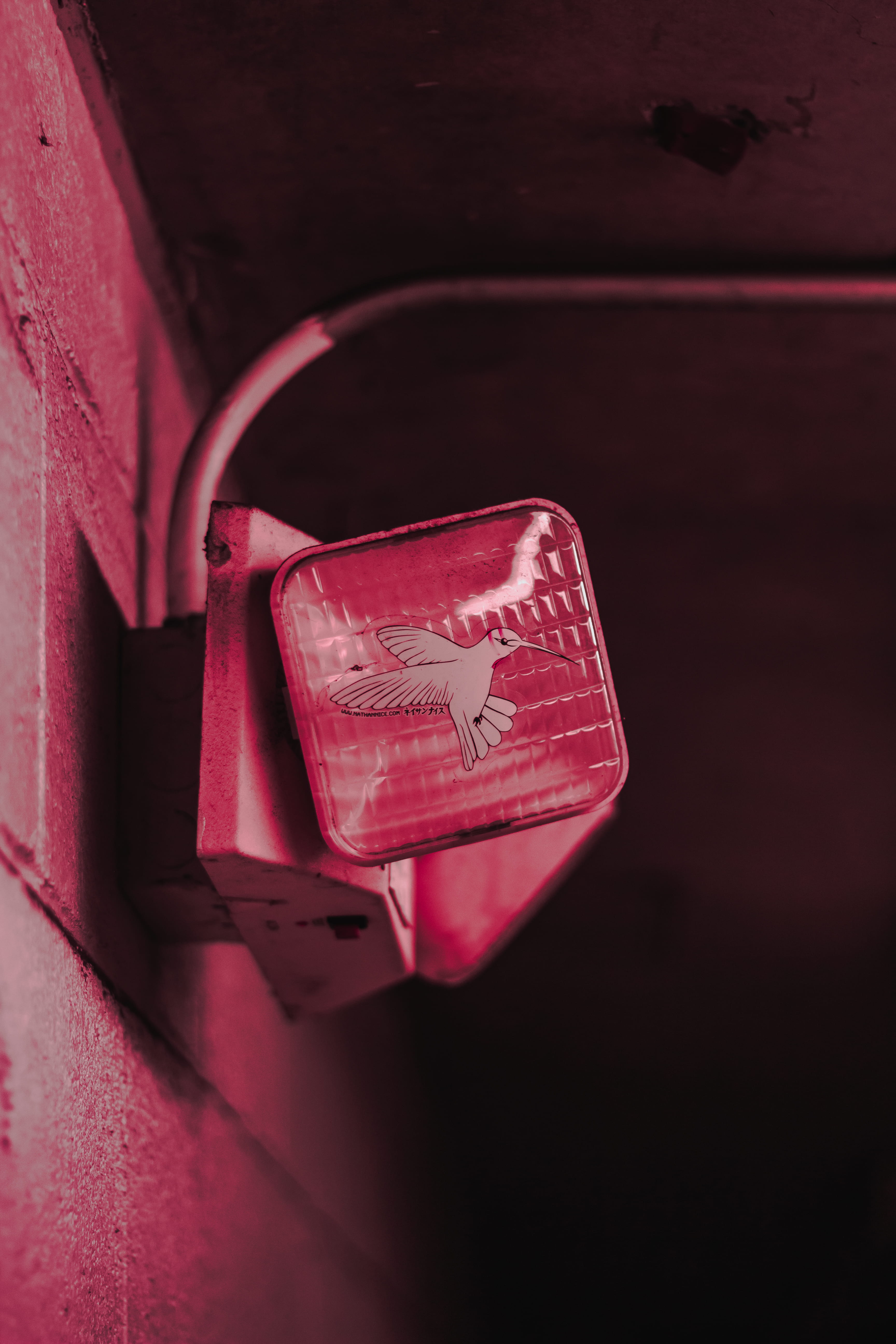 red, light, box - container, car, pipe, land vehicle, decor, high angle view, indoors, urban, dark, 5K, emotion, container, love, communication, animal, Phone HD Wallpaper