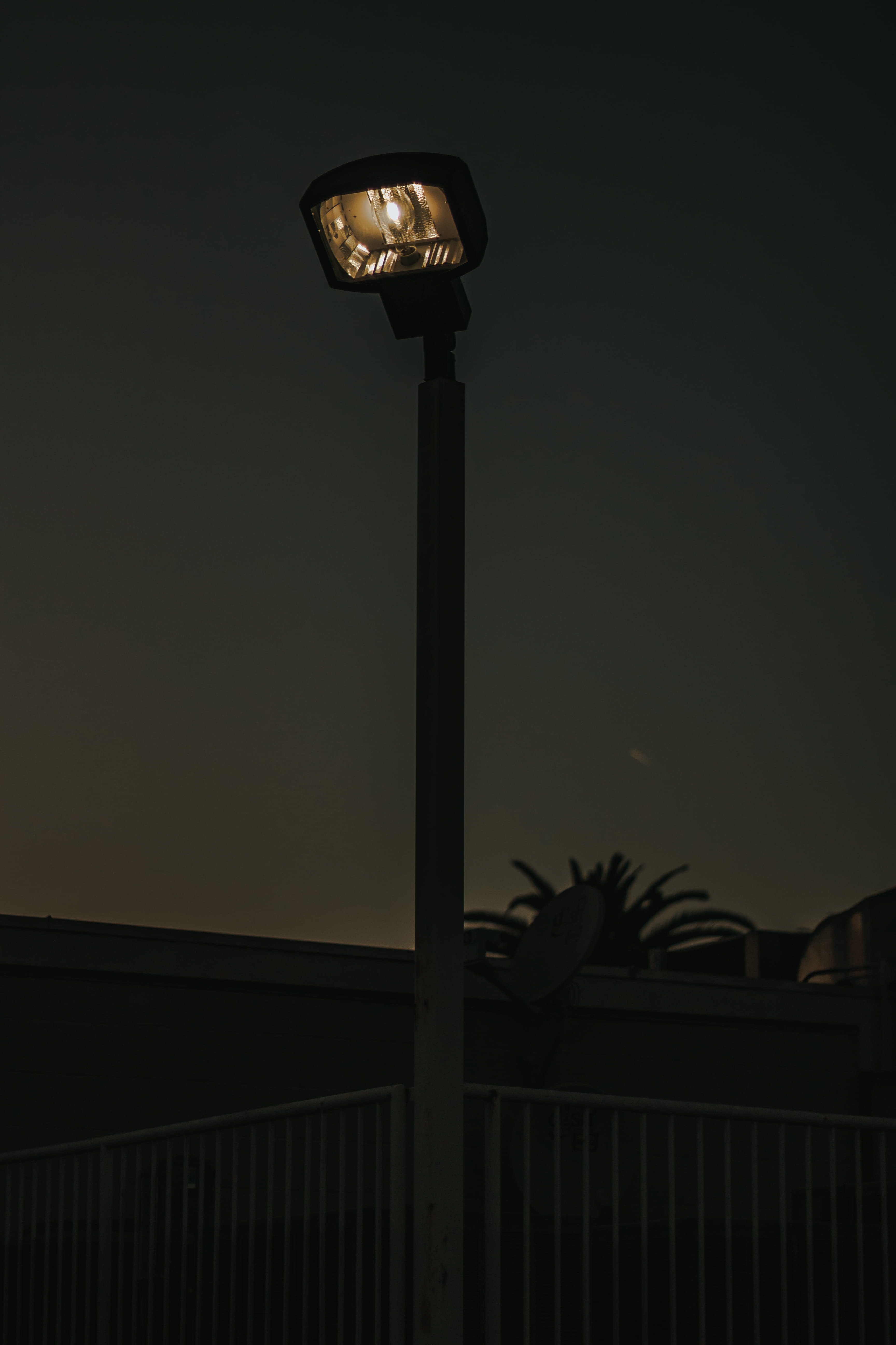 city, light, electric light, low angle view, white, simple, outdoors, no people, plant, street pole, texture, electricity, street light, los angeles, Phone HD Wallpaper